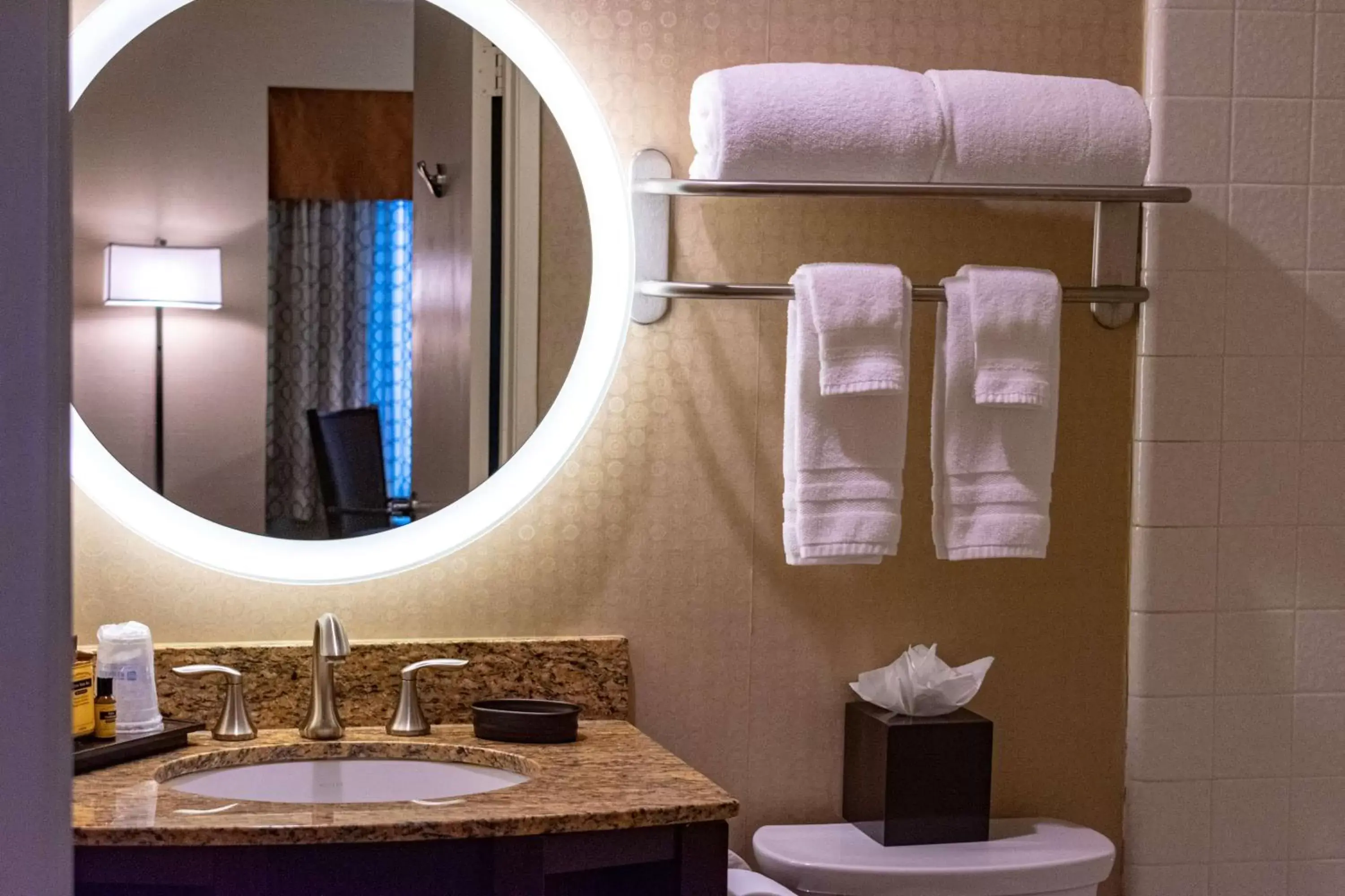 Bathroom in Best Western Plus Suites Hotel Coronado Island