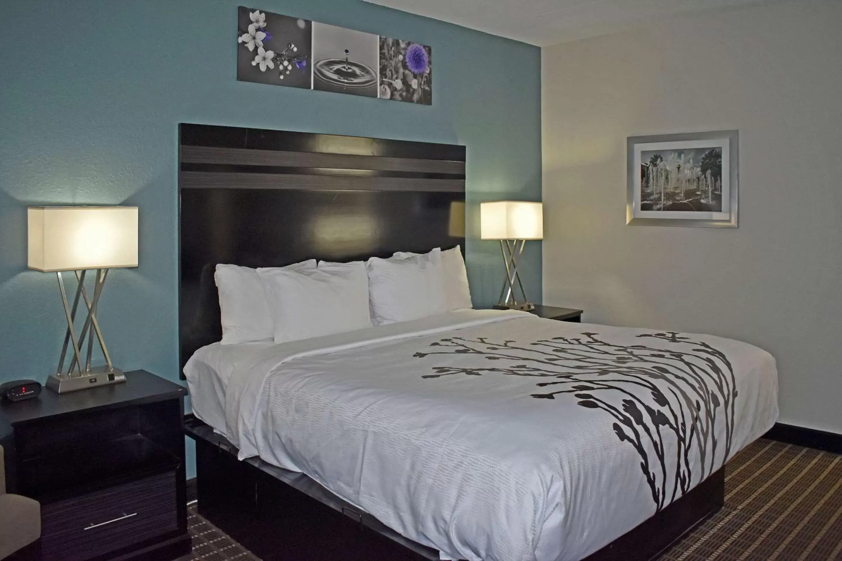 Bedroom, Bed in Sleep Inn & Suites West Knoxville