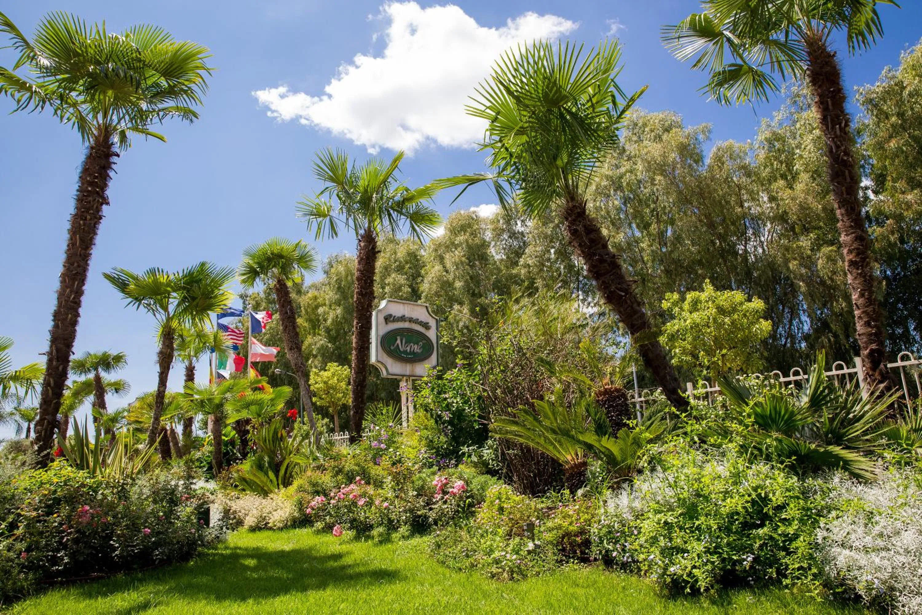 Garden in Hotel Ares