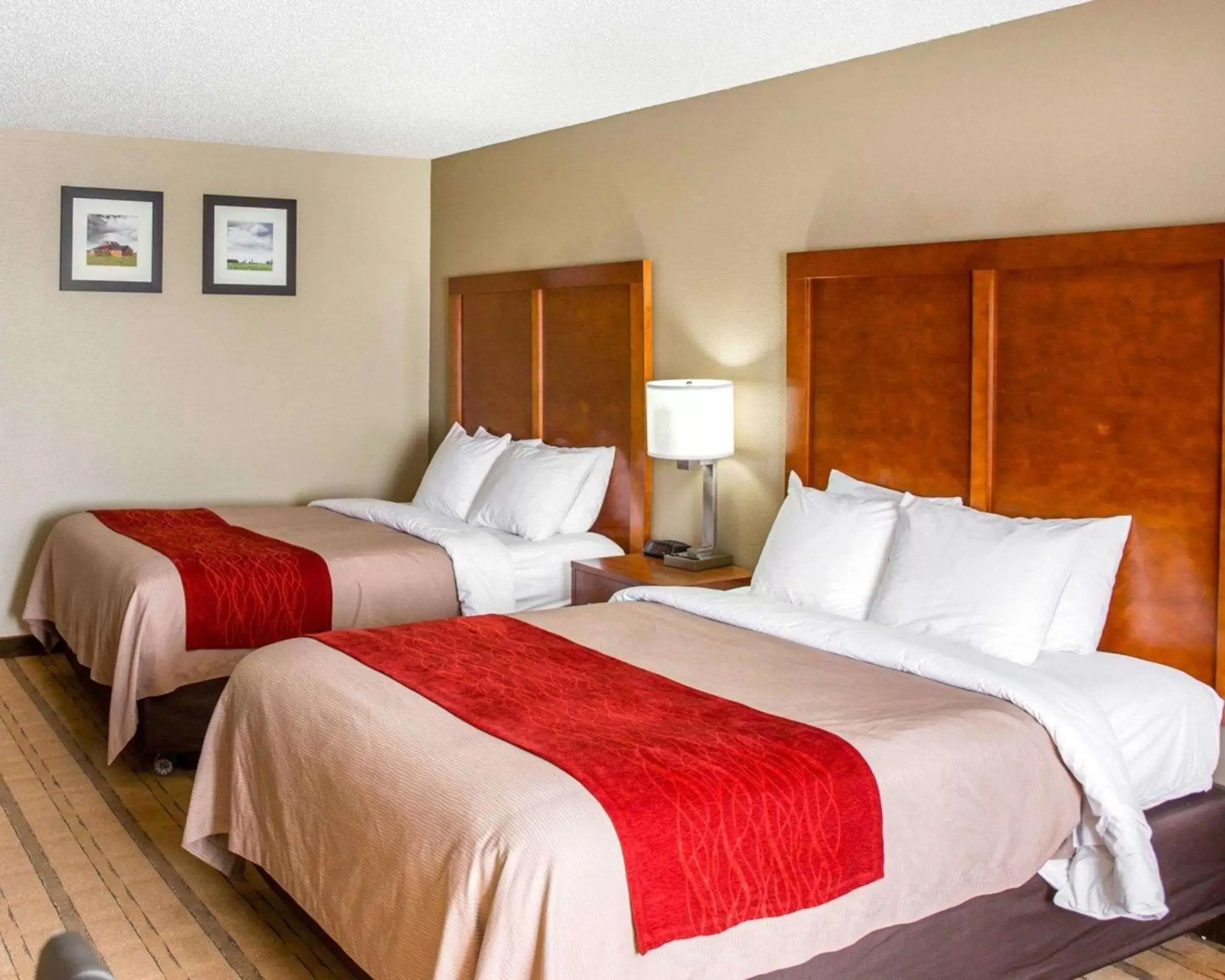 Photo of the whole room, Bed in Comfort Inn & Suites Coralville - Iowa City near Iowa River Landing