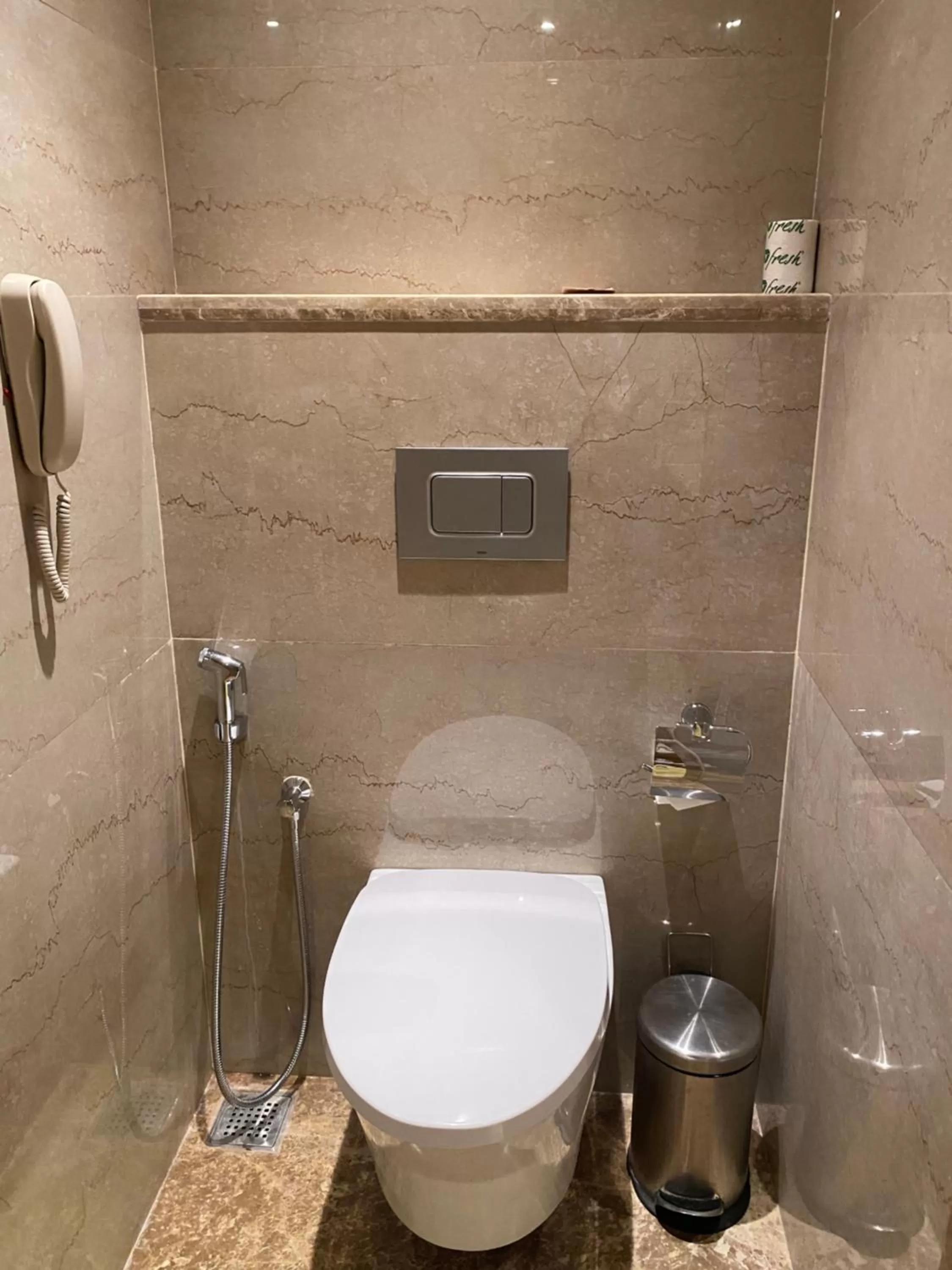 Toilet in SRM Hotel Maraimalai Nagar Chennai