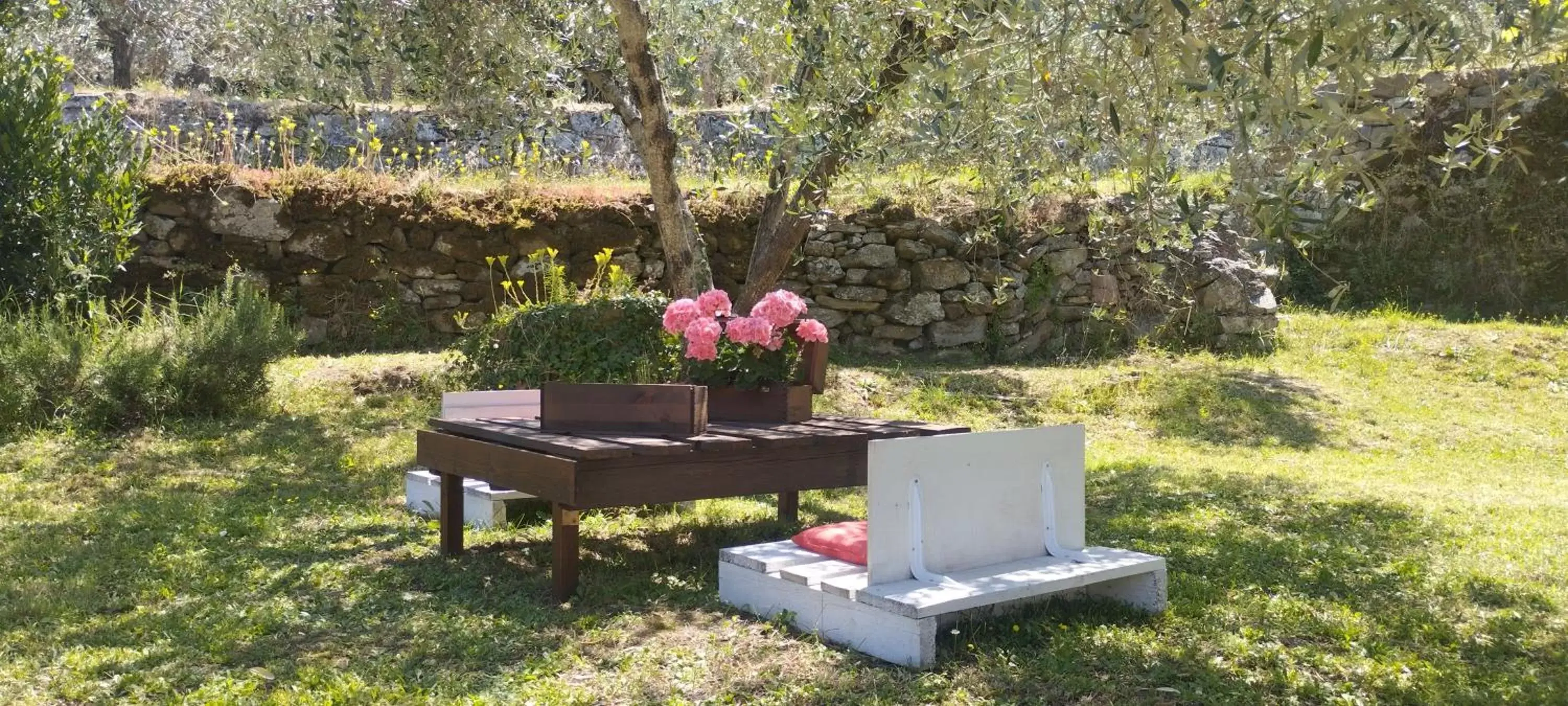 Garden in La Casa tra Gli Ulivi Cottage House