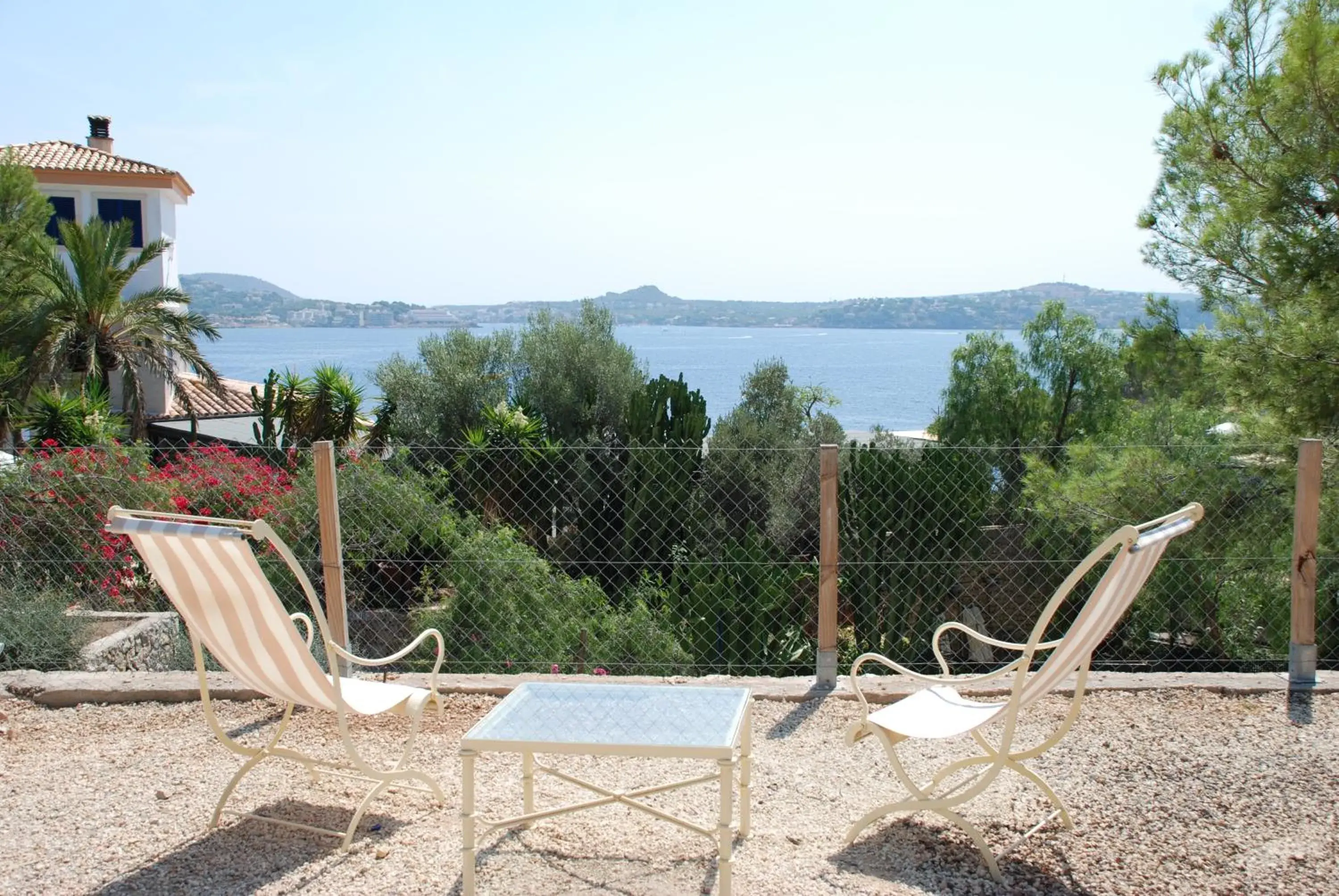 Garden in Hotel Petit Cala Fornells