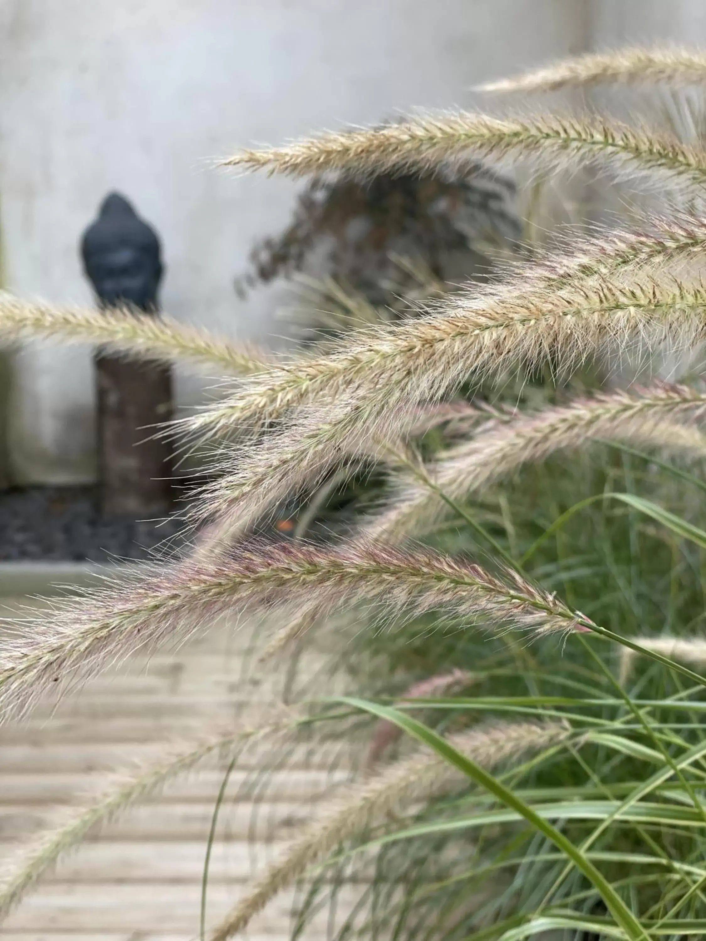 Garden in Maison d'hotes L'atelier du Charmois