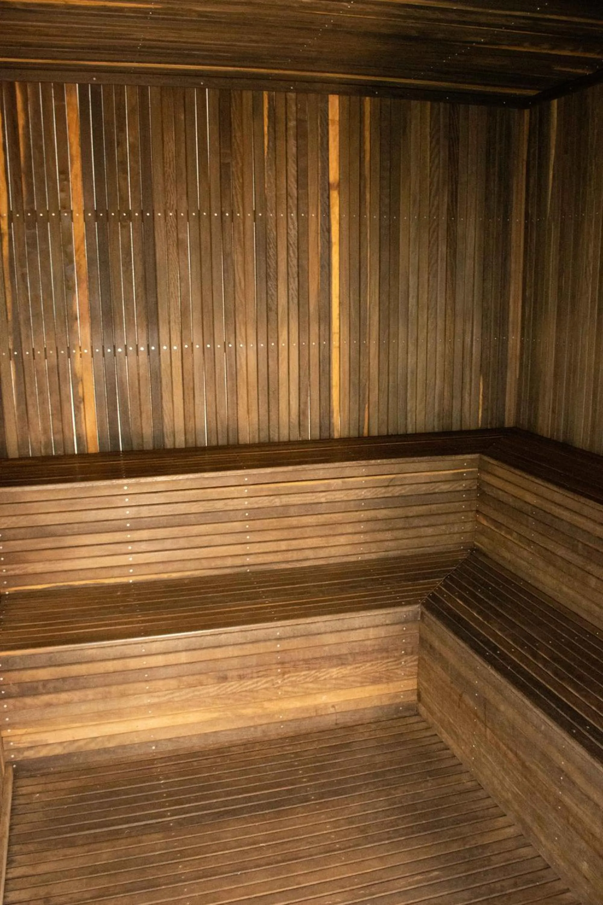 Sauna in Hotel Golden Park Internacional Foz & Convenções By Nacional Inn