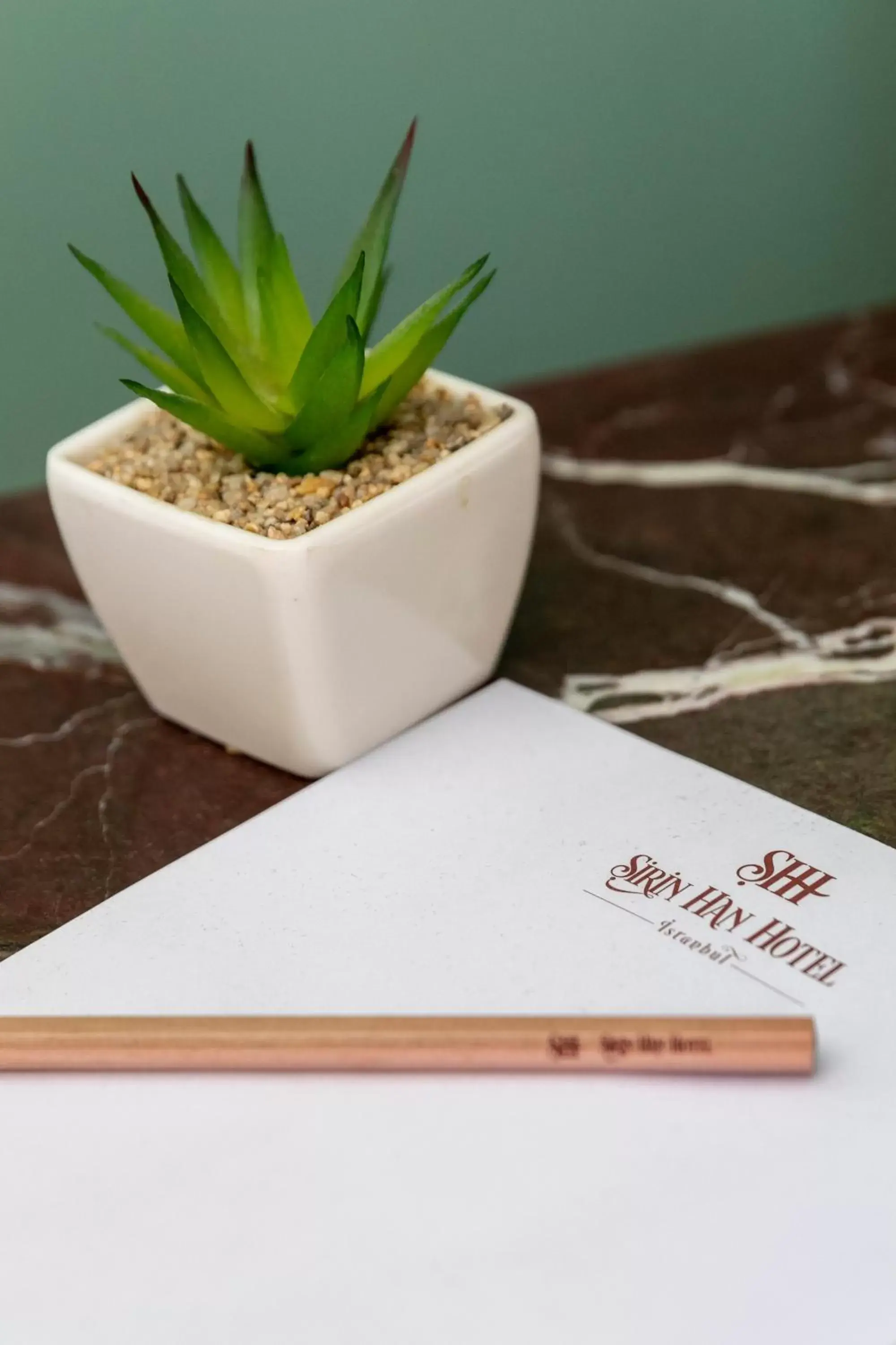 Landmark view in Sirin Han Hotel Old City Landmark view in Sirin Han Hotel Old City