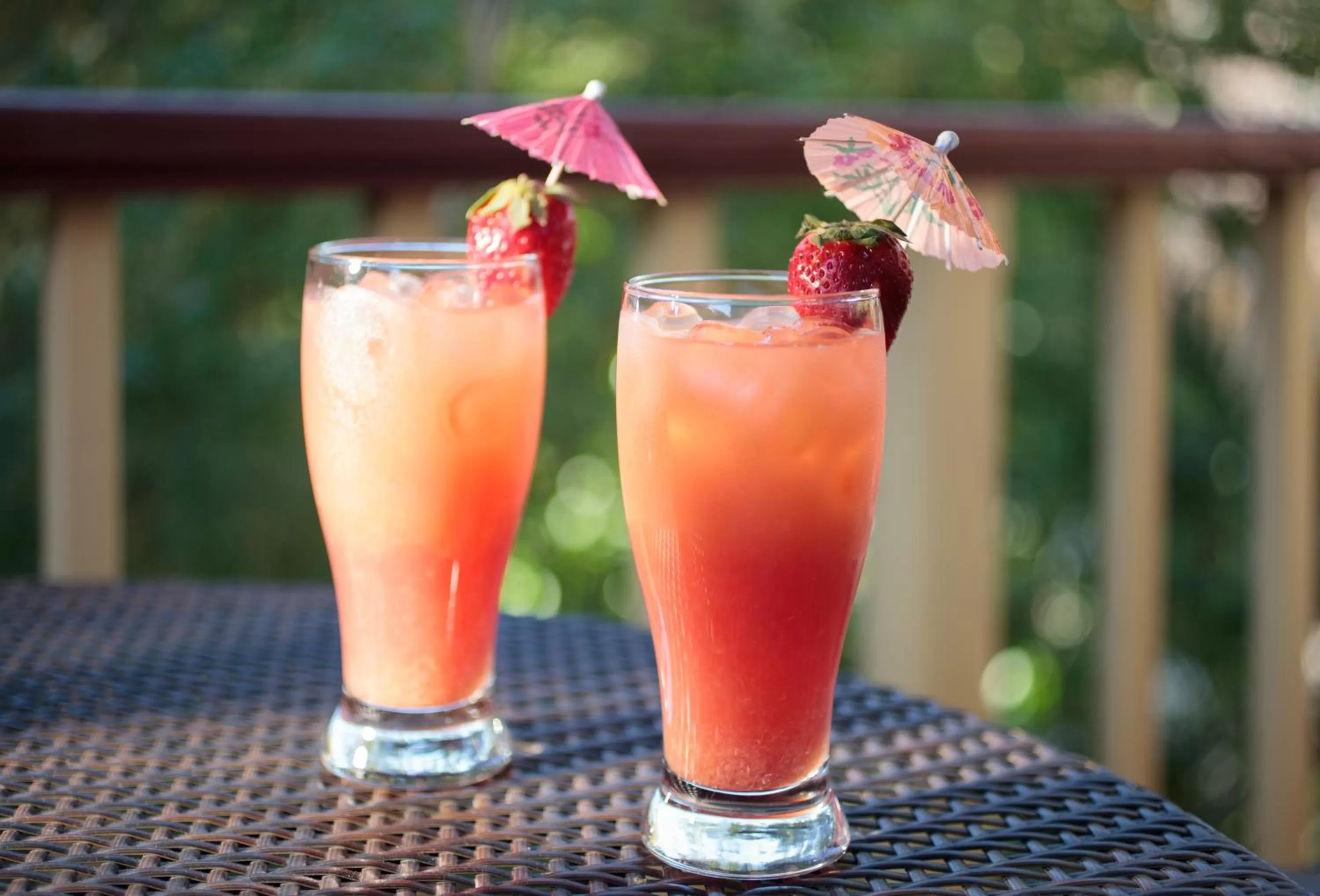 Drinks in St. Francis Inn - Saint Augustine