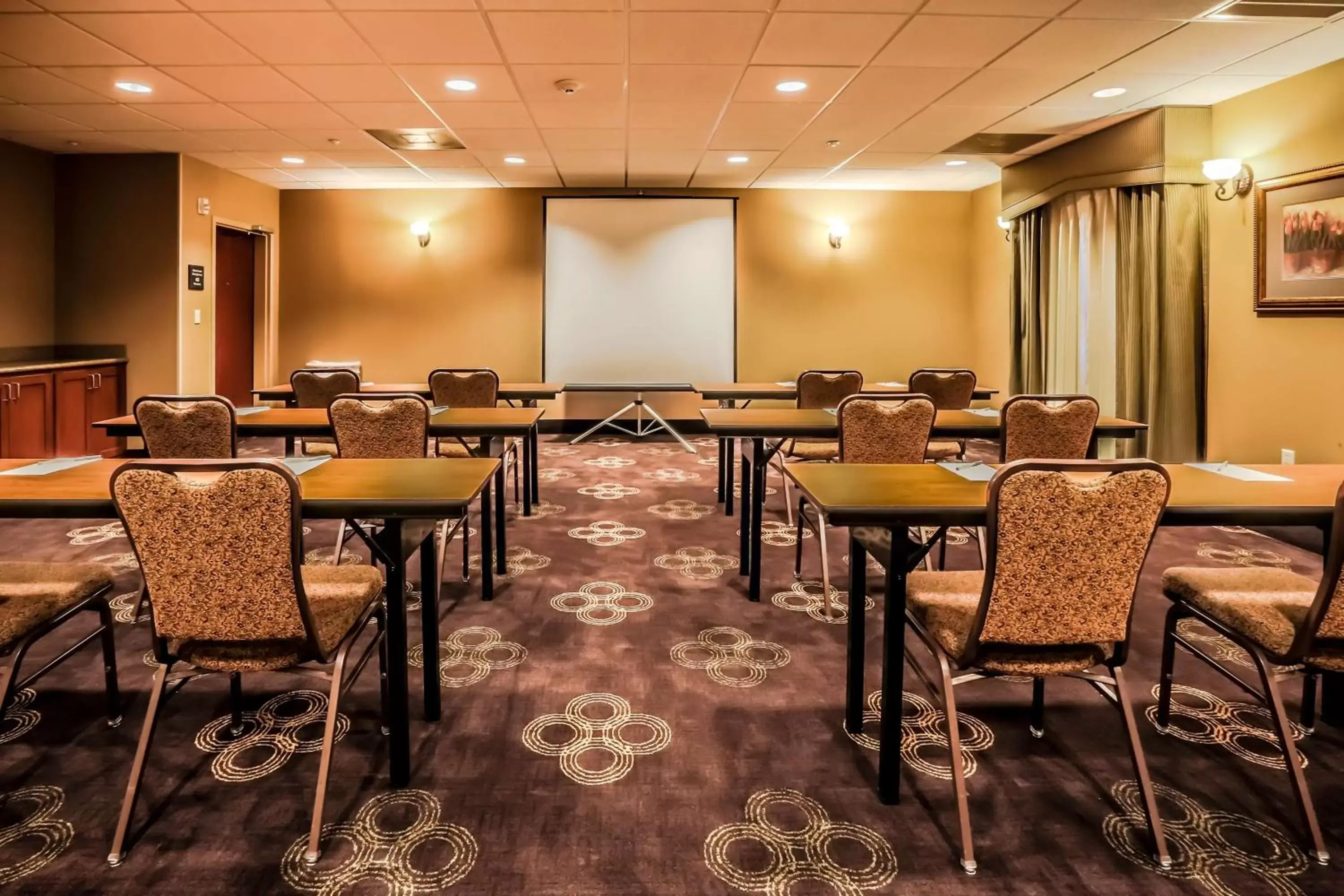 Meeting/conference room in Hampton Inn & Suites Tomball