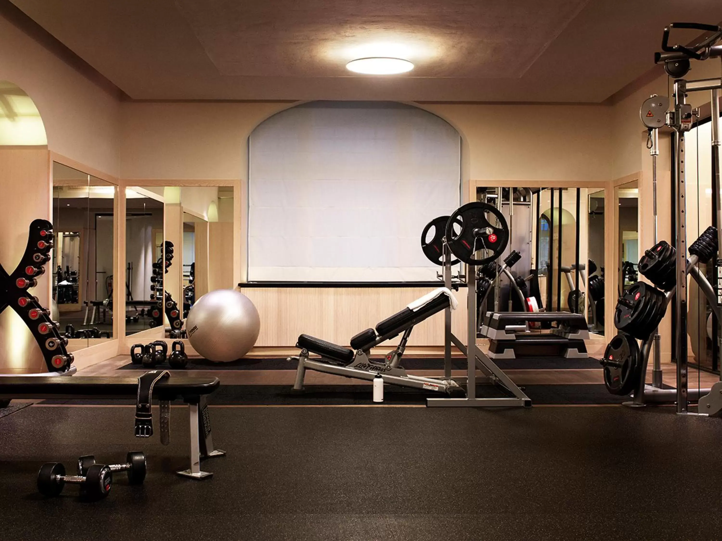 Fitness centre/facilities, Fitness Center/Facilities in Lydmar Hotel