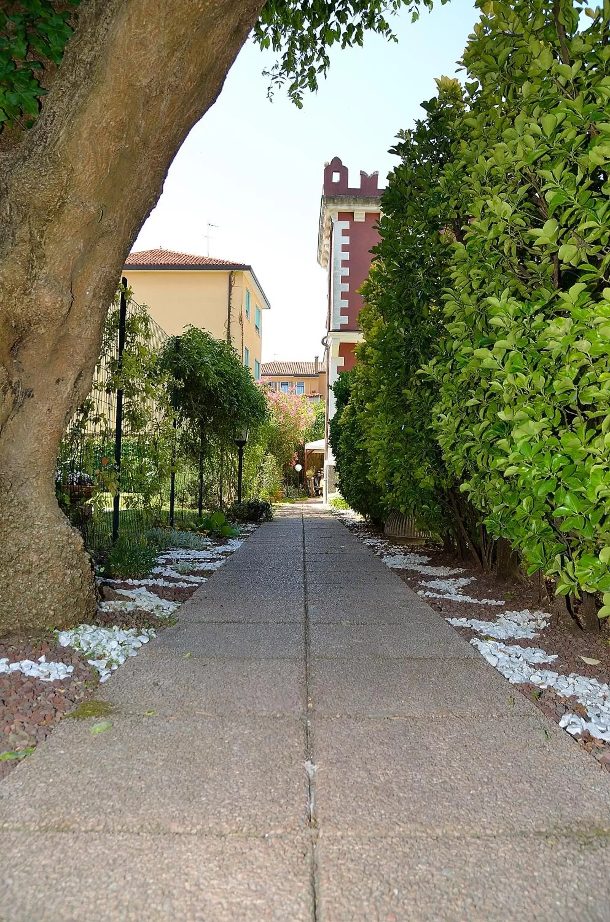 Garden, Property Building in Villa Angelica