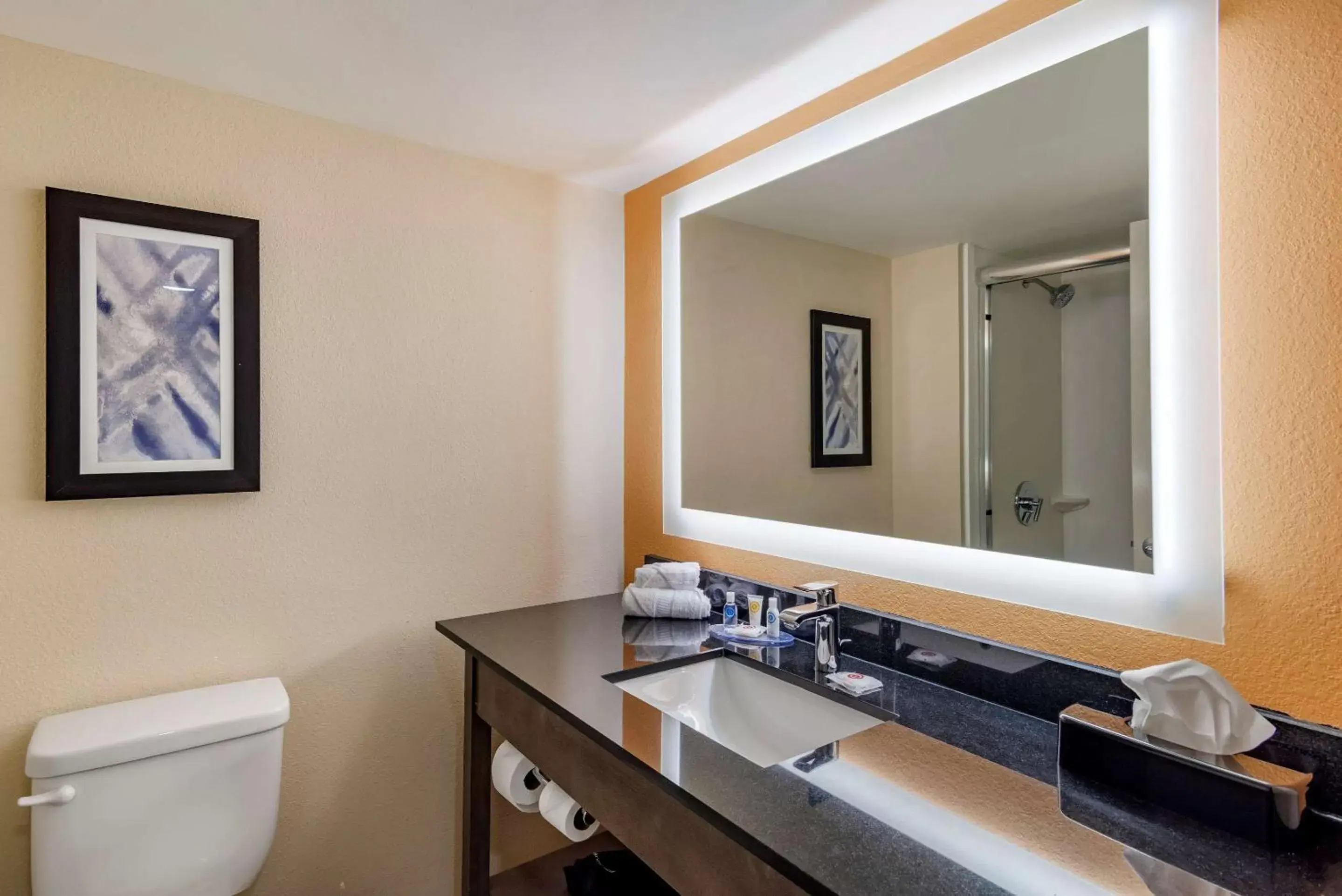 Bathroom in Comfort Suites Alpharetta - Roswell - Atlanta Area