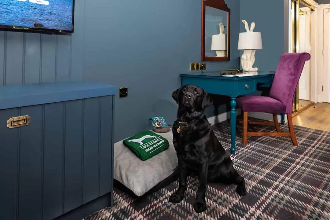 Pets in Loch Rannoch Hotel and Spa