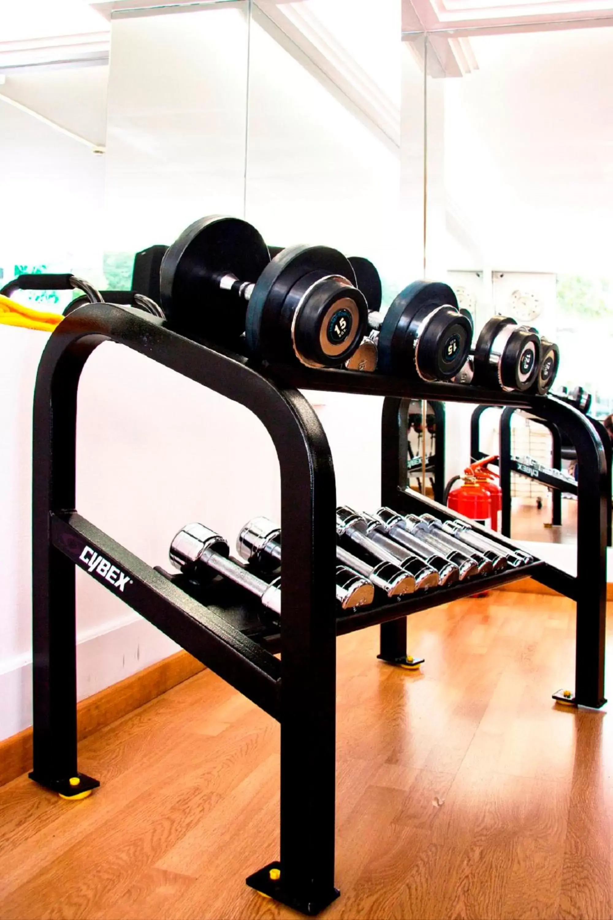 Fitness centre/facilities, Fitness Center/Facilities in Theoxenia Residence