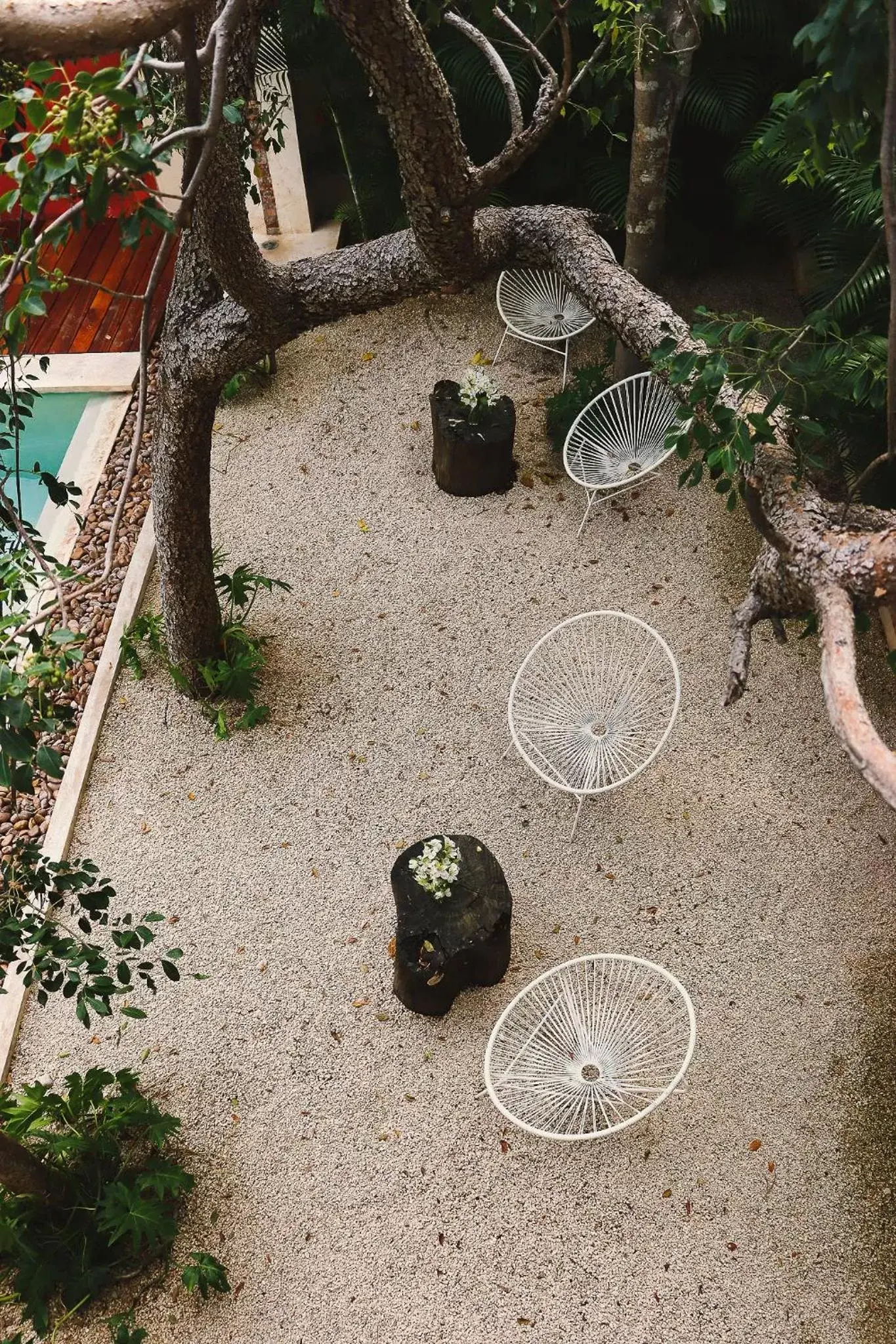 Garden in Casa de Las Palomas Boutique Hotel by Paloma's Hotels - Adults Only