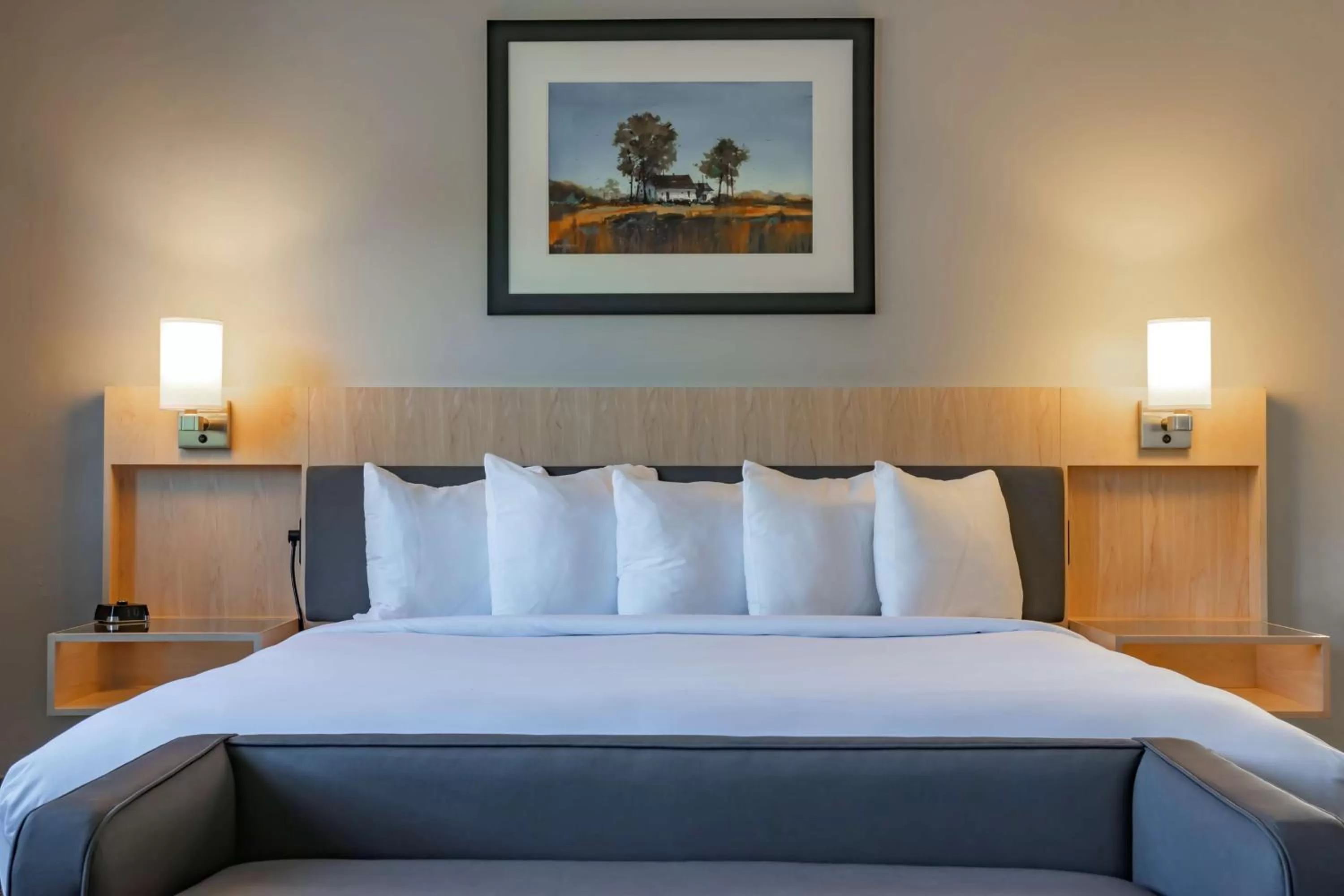 Bed in The Waters Hot Springs, Tapestry Collection by Hilton