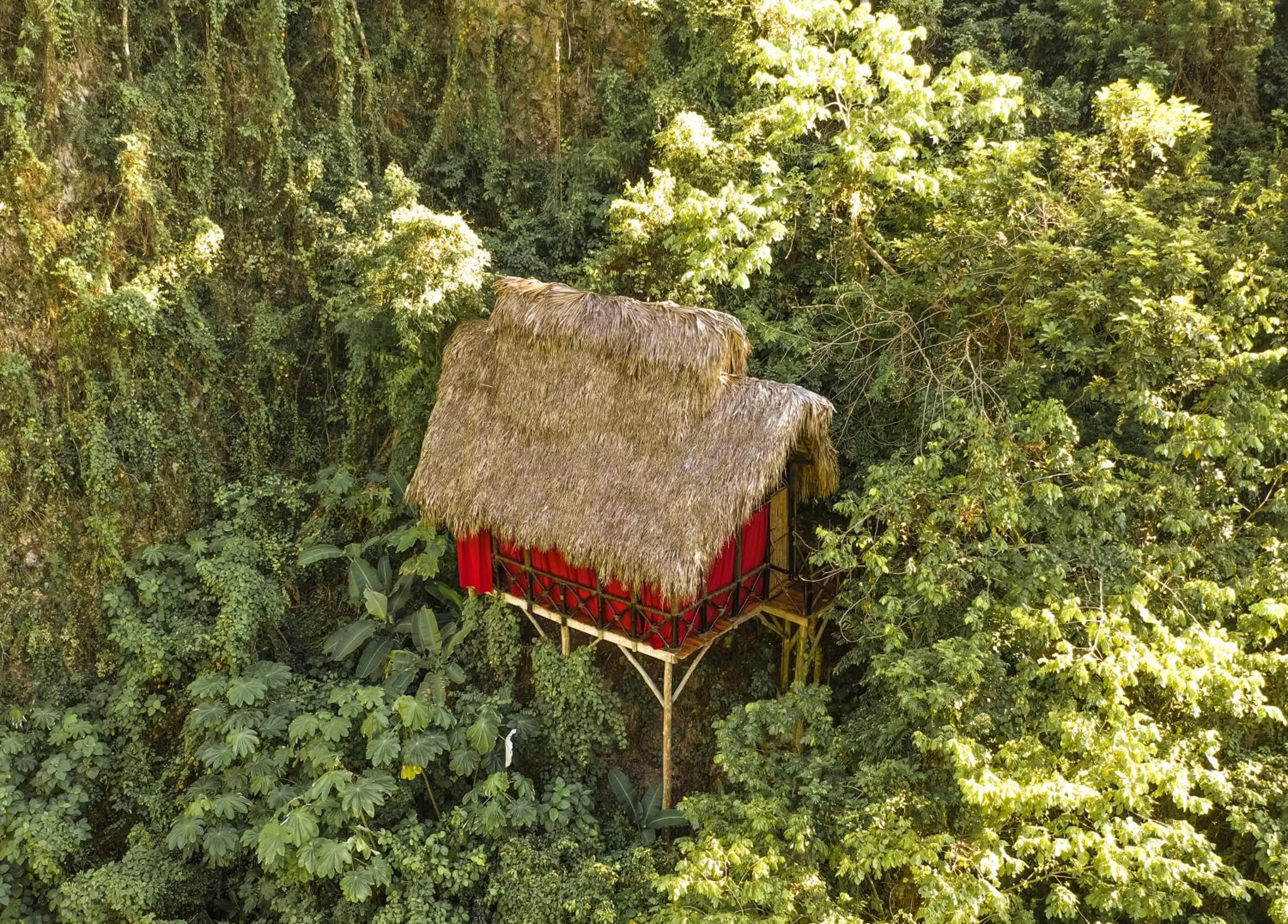 Natural landscape in Dominican Tree House Village