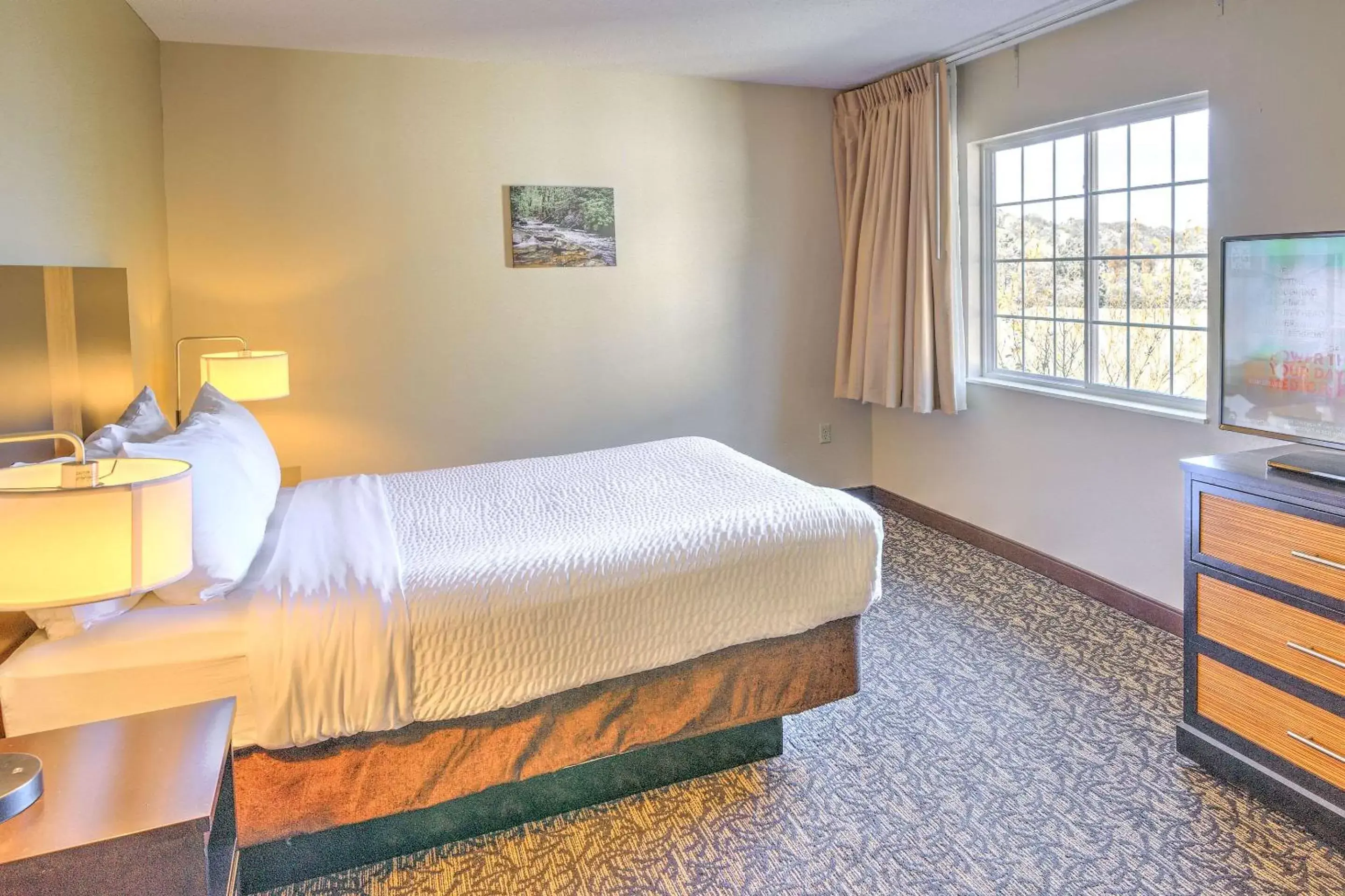 Photo of the whole room, Bed in LeConte Hotel & Convention Center, Ascend Hotel Collection