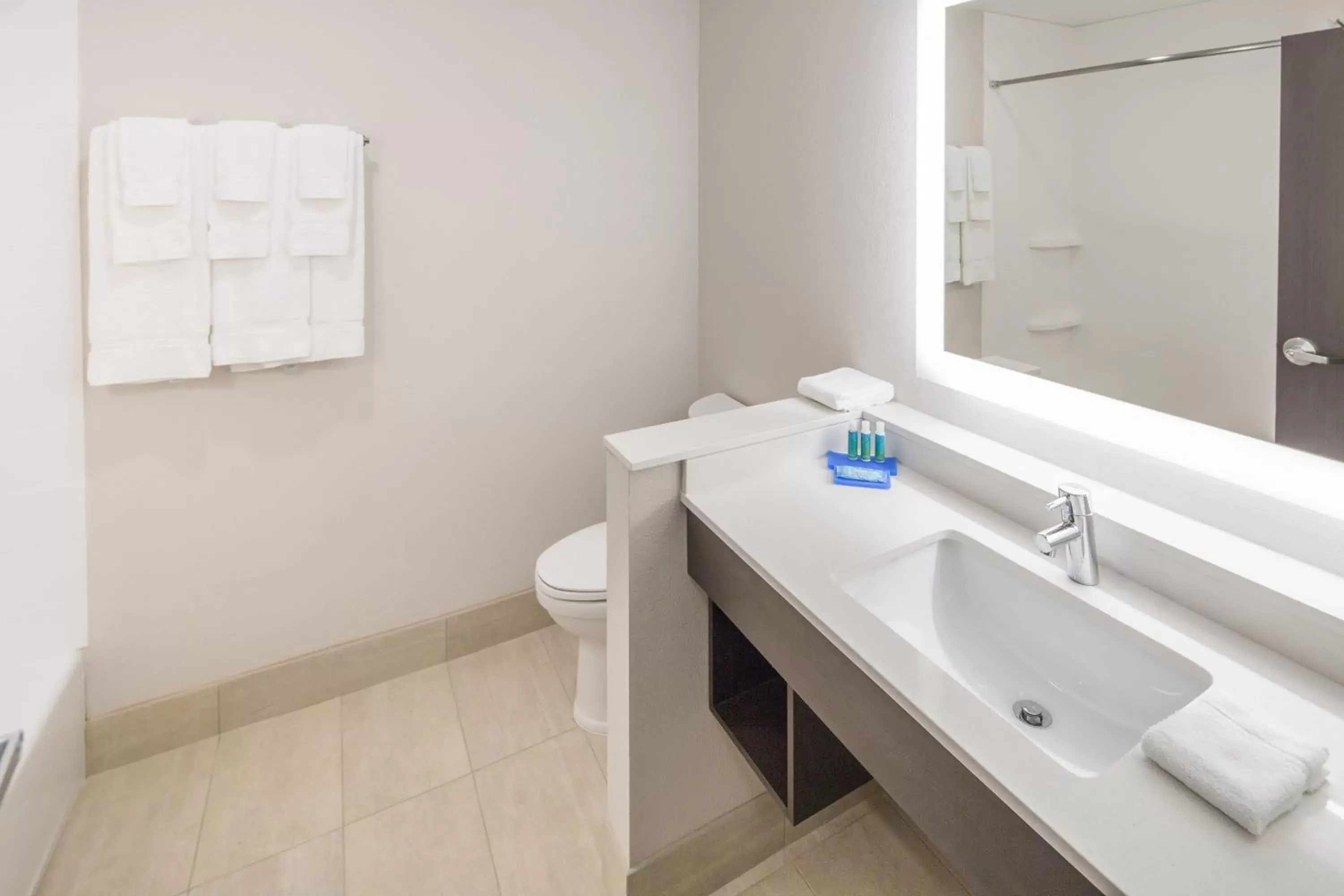 Bathroom in Holiday Inn Express & Suites - Indianapolis NW - Zionsville, an IHG Hotel