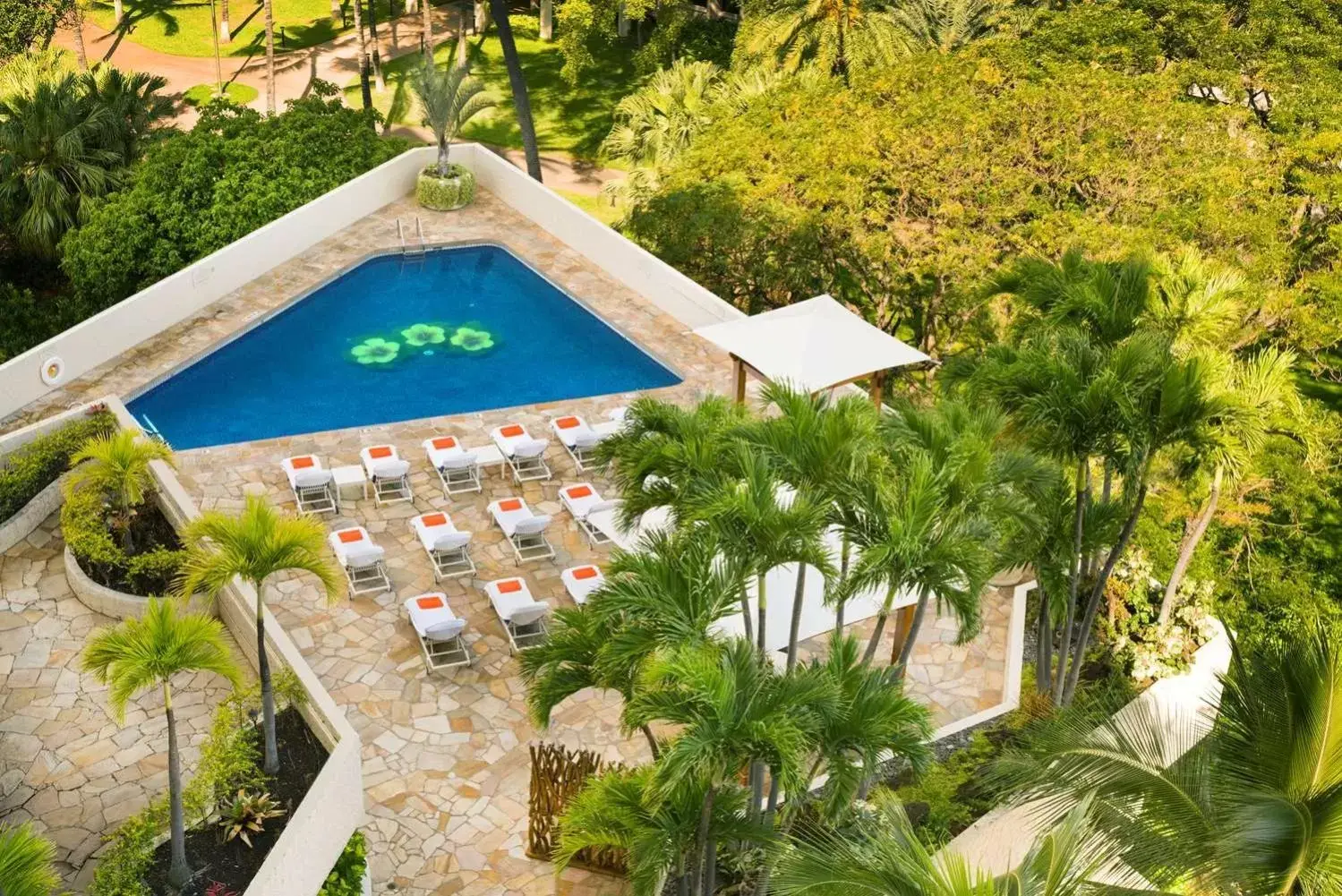 Seating area, Pool View in Luana Waikiki Hotel & Suites