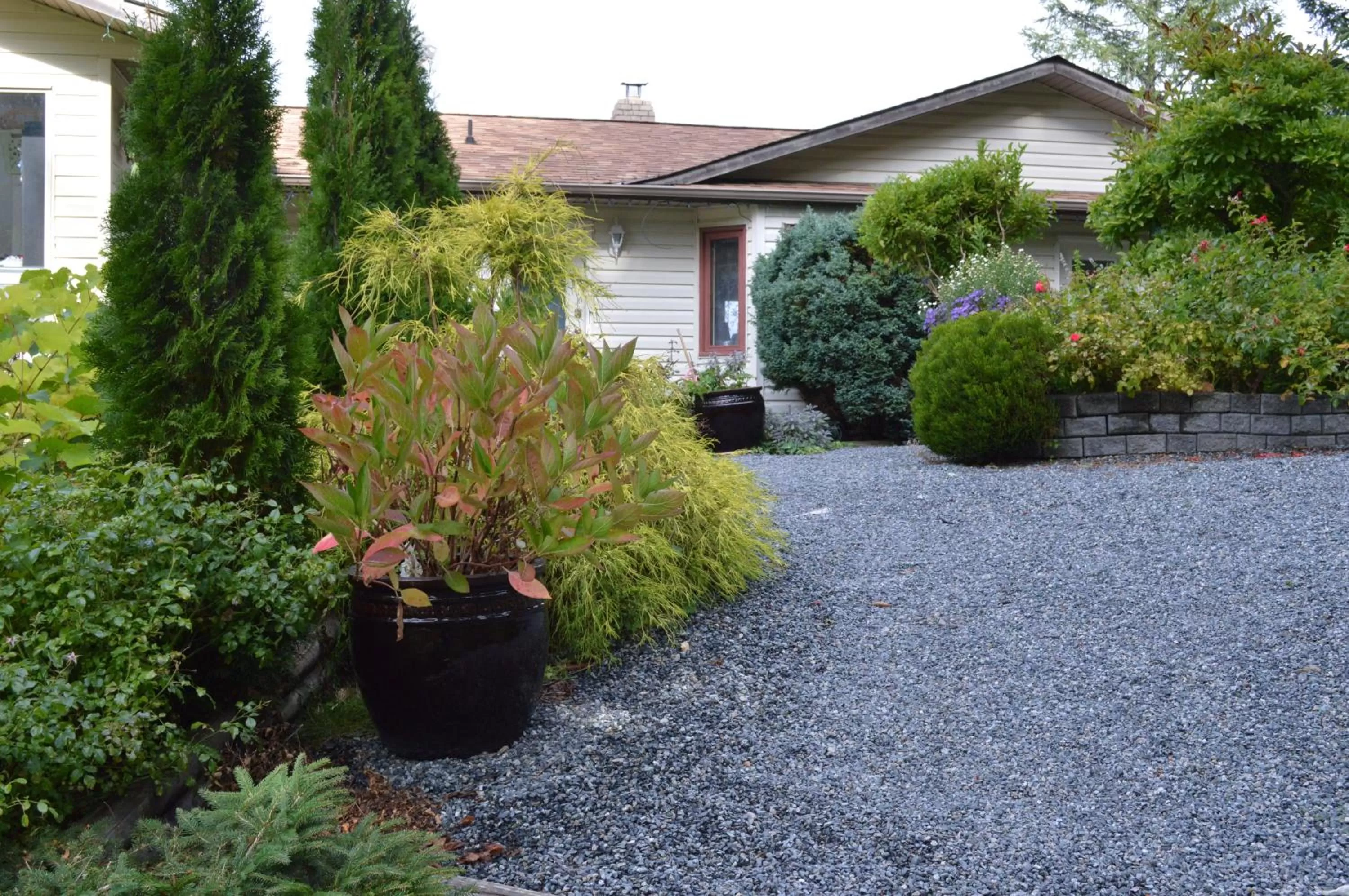 Property Building in Armand Heights