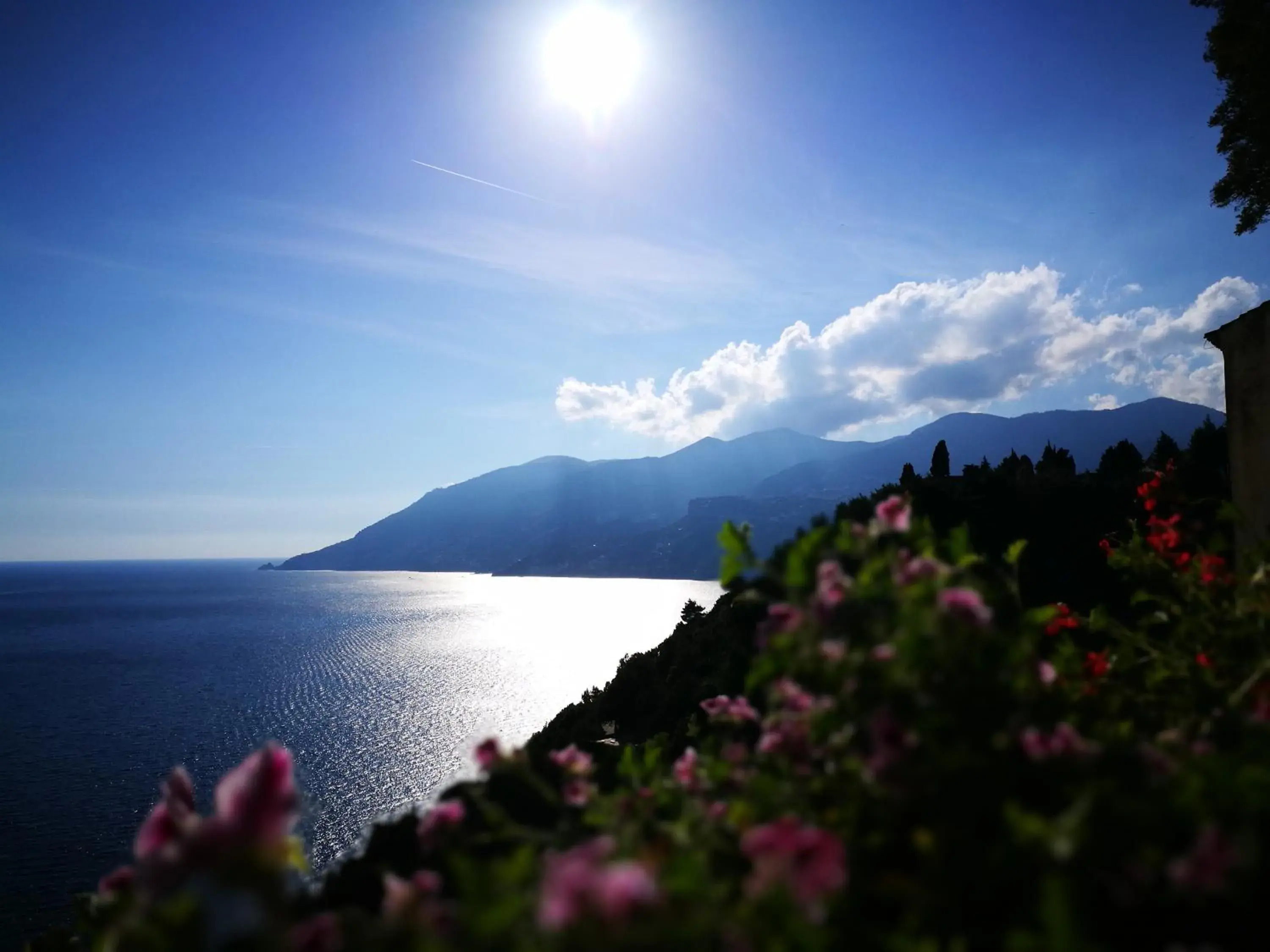 Sea view in Badia Santa Maria de' Olearia Sea view in Badia Santa Maria de' Olearia