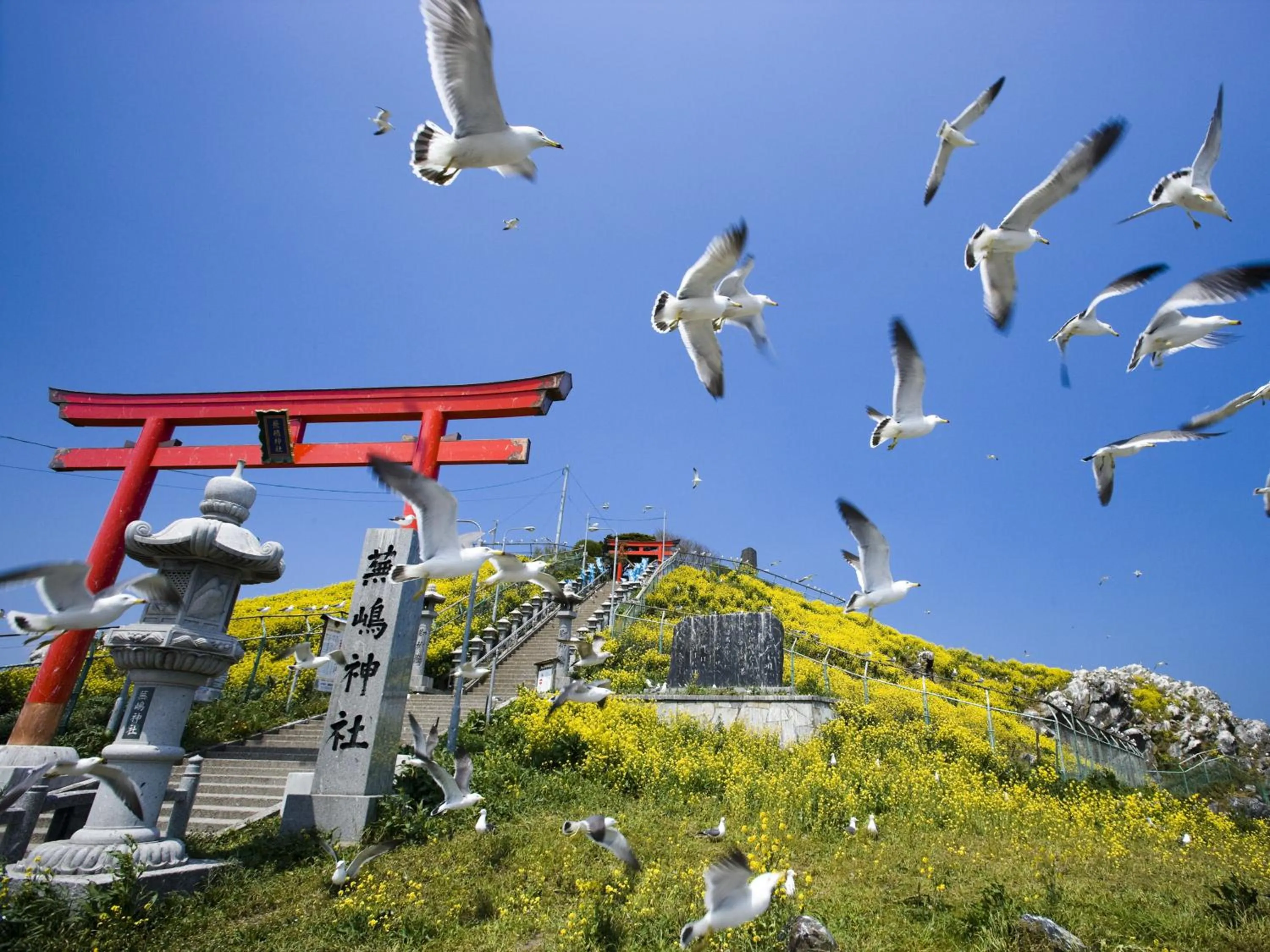 Nearby landmark in APA Hotel Honhachinohe