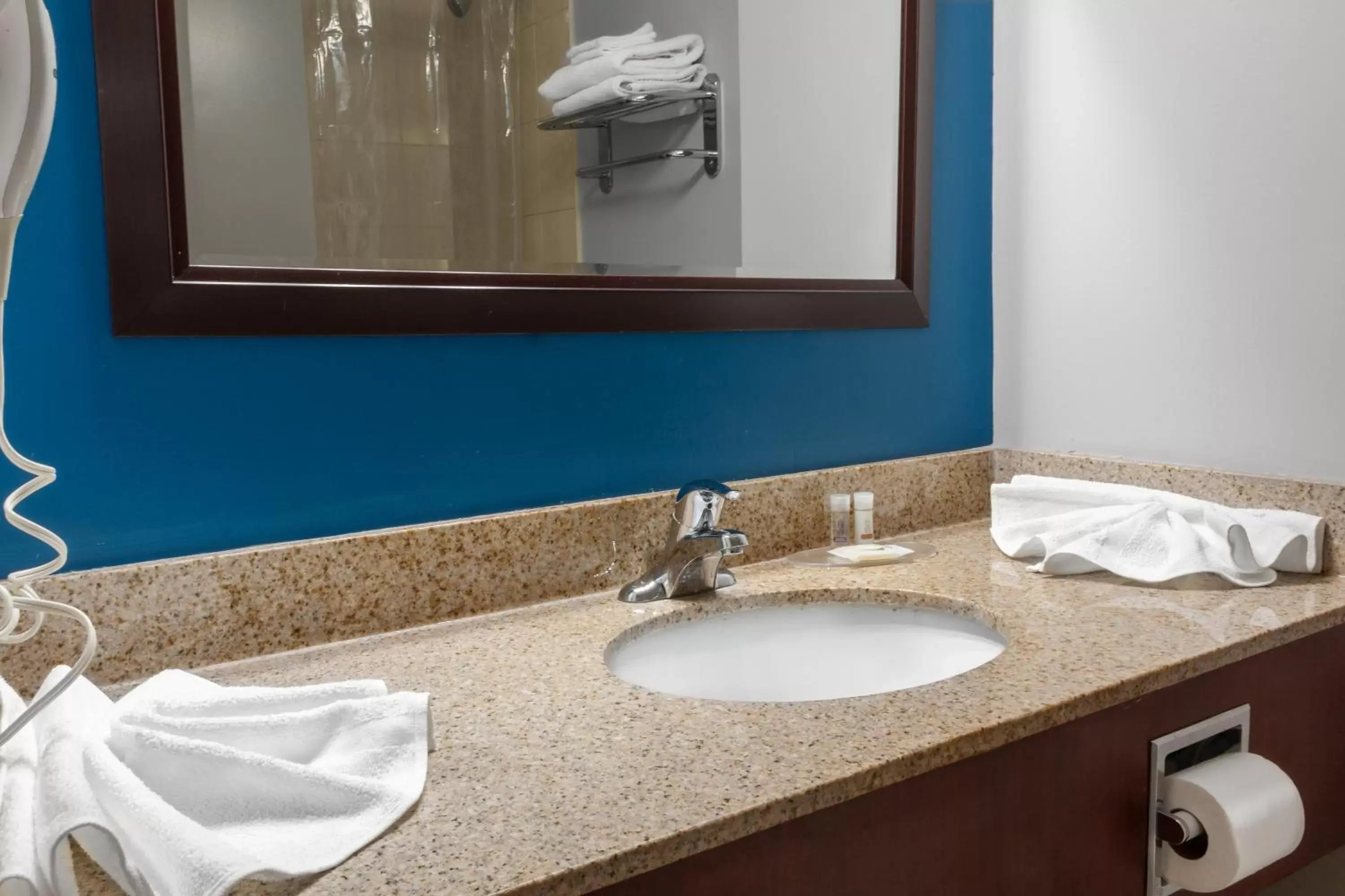 Bathroom in Premier Inn & Suites - Downtown Hamilton