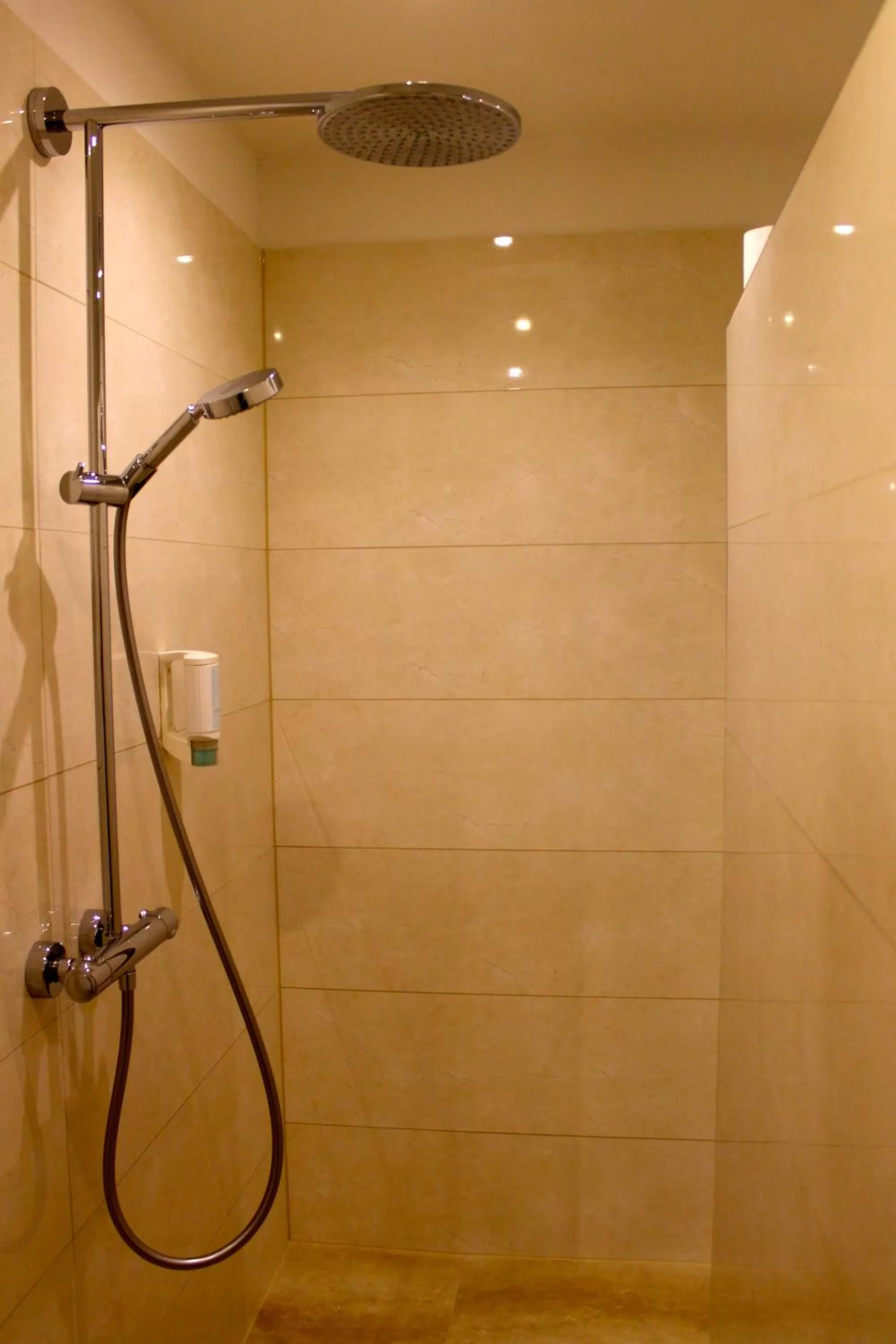Shower in Hotel Donnersberg