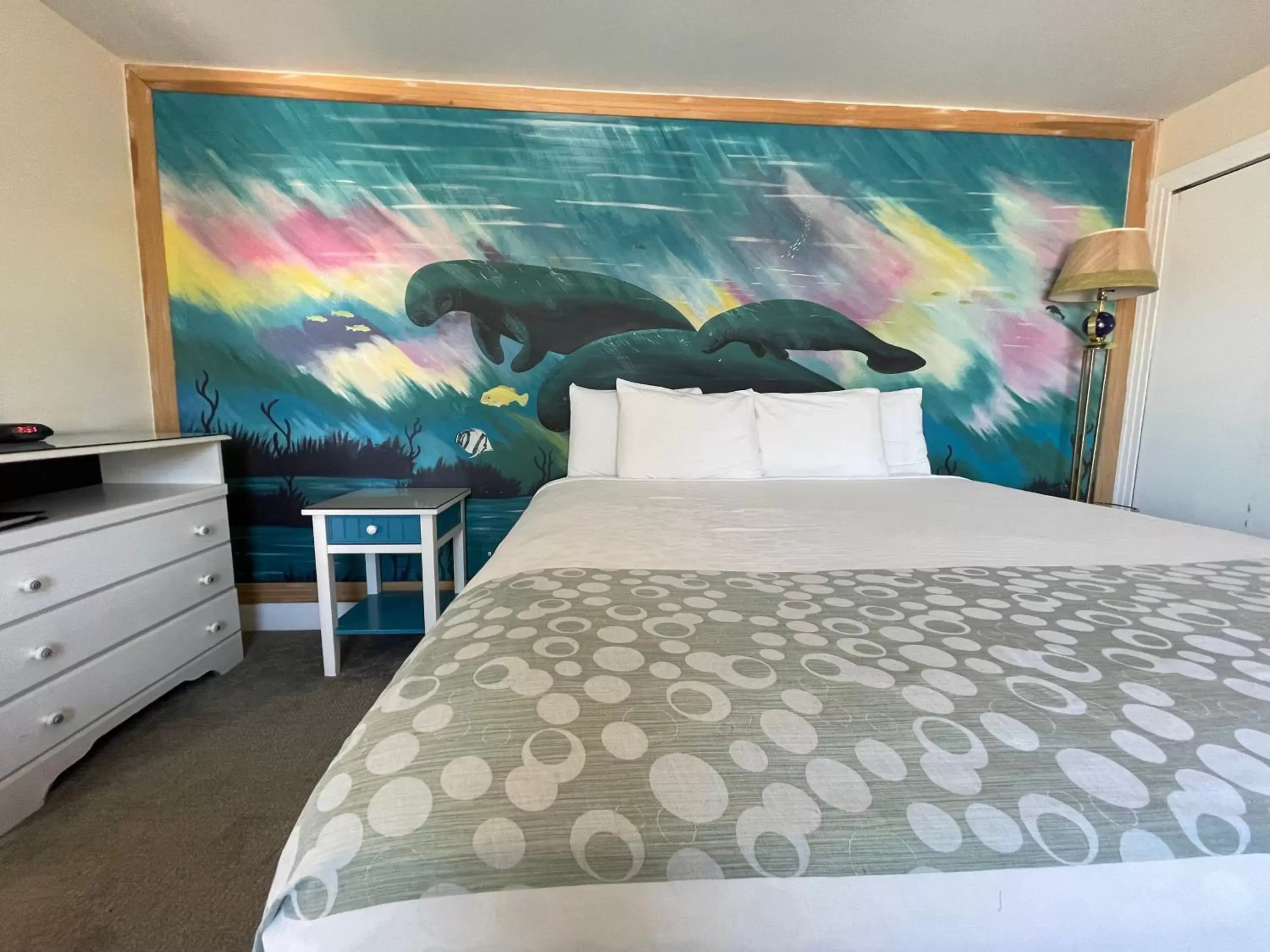 Photo of the whole room in Magic Beach Motel - Vilano Beach, Saint Augustine Photo of the whole room in Magic Beach Motel - Vilano Beach, Saint Augustine