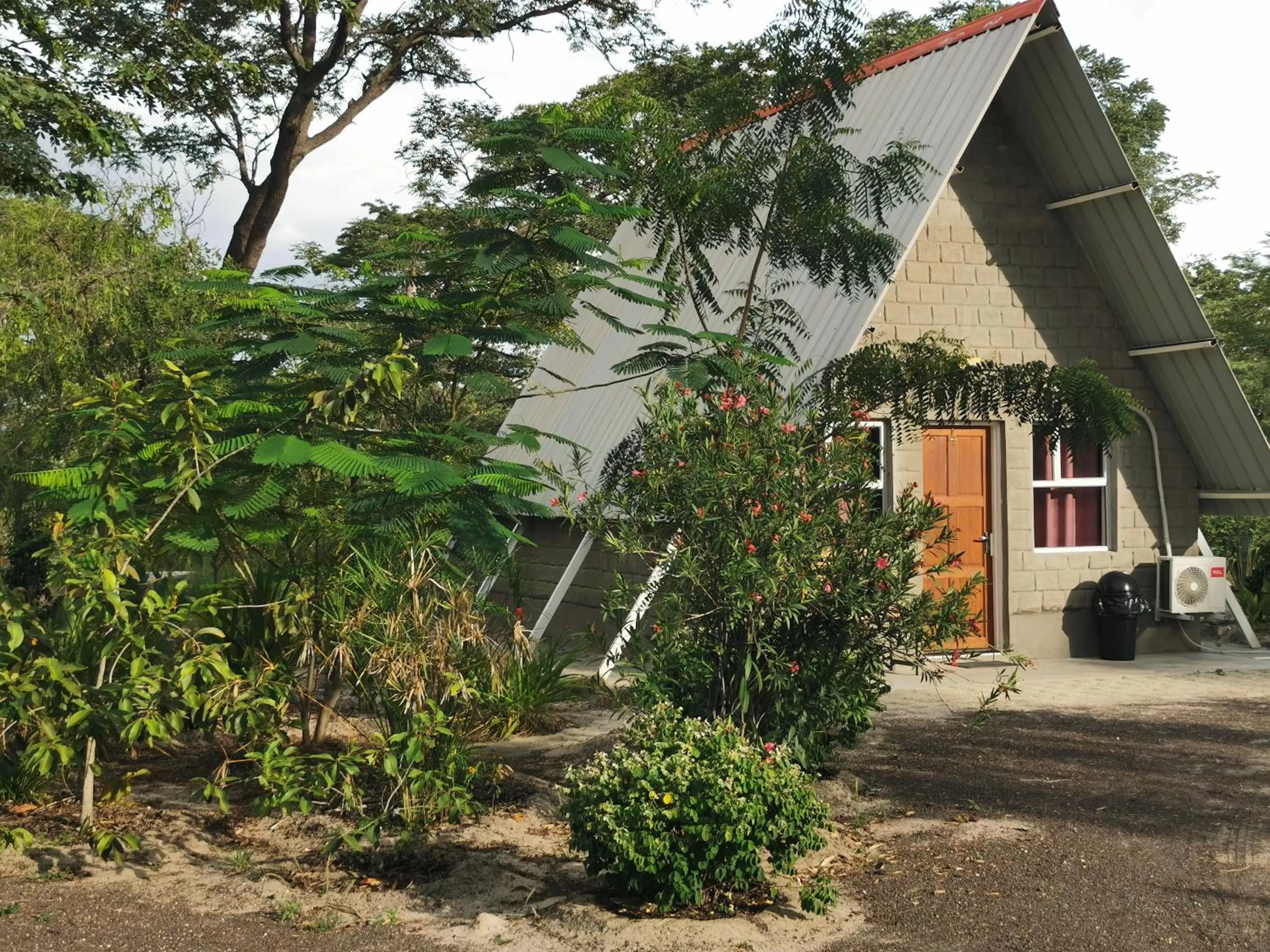 Property Building in Happy Forest B&B