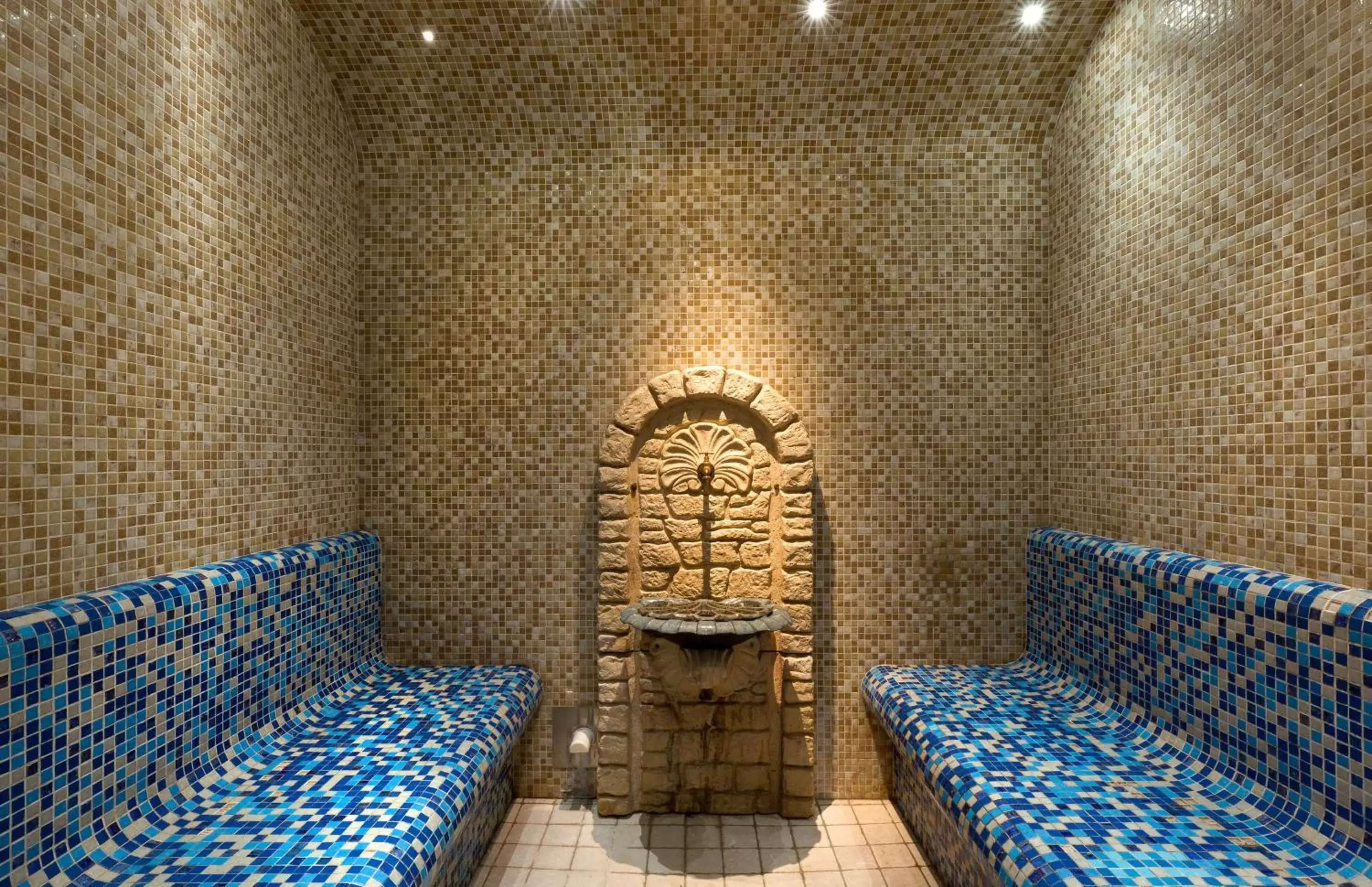 Steam room, Spa/Wellness in Rochester Champs Elysees