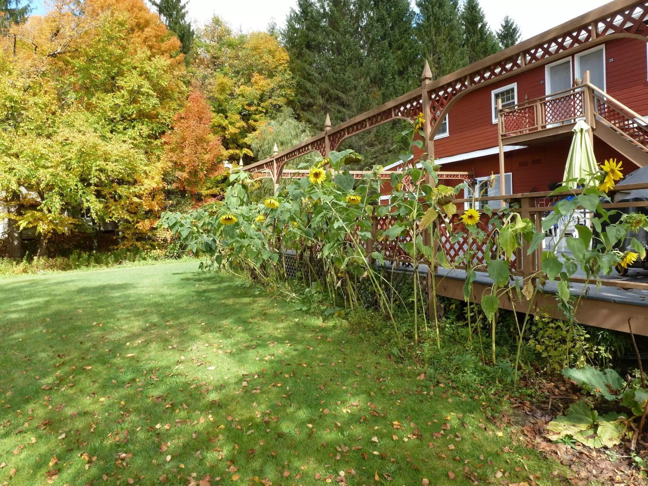 Property Building in Viking Motel