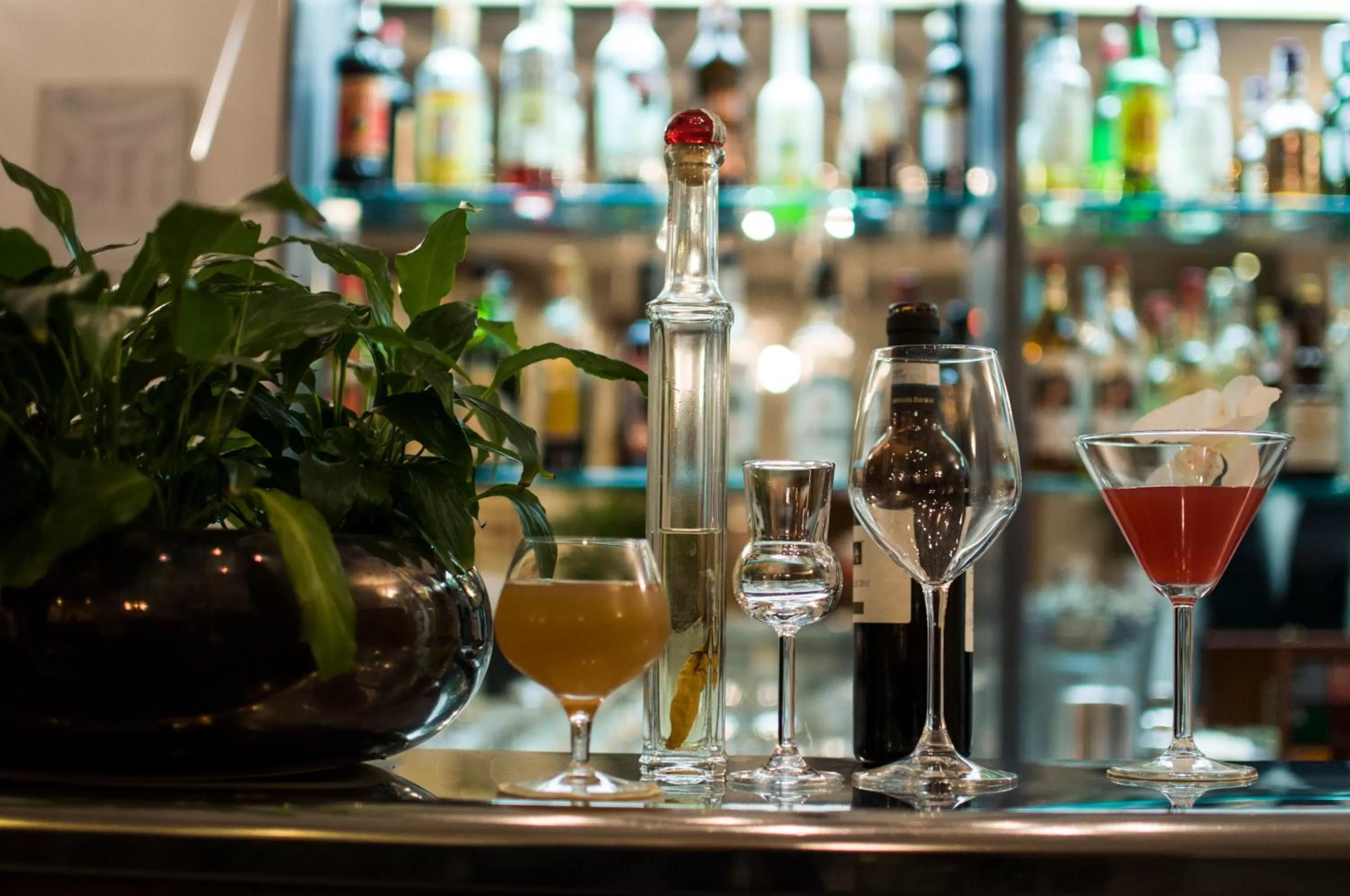 Lounge or bar in Royal Hotel