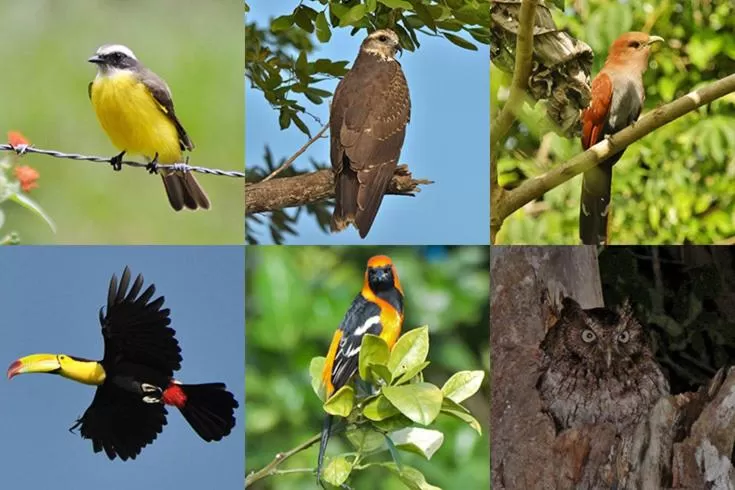 Other in Villas Ecotucan