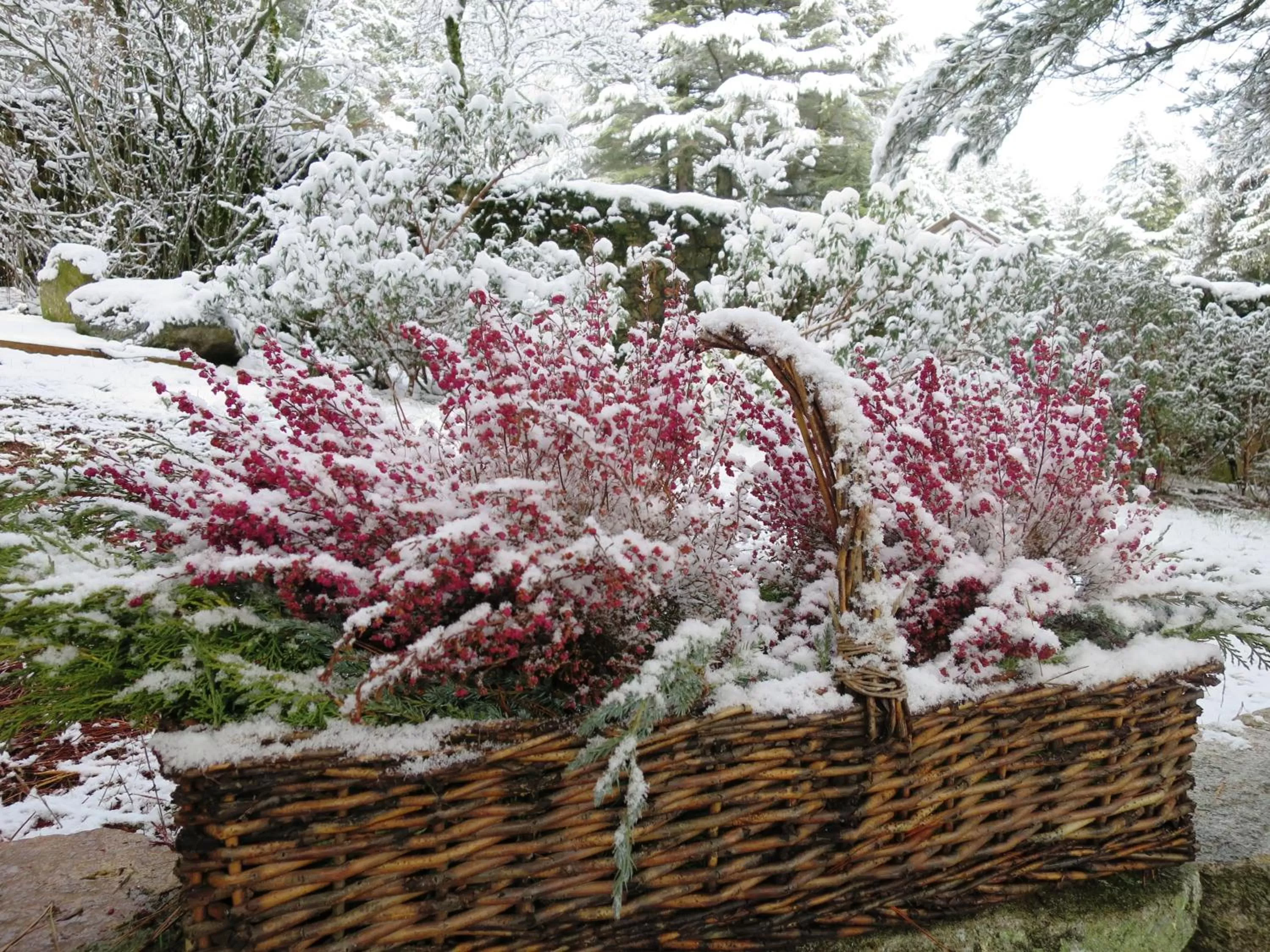 Natural landscape in Hotel Rural Las Rozuelas