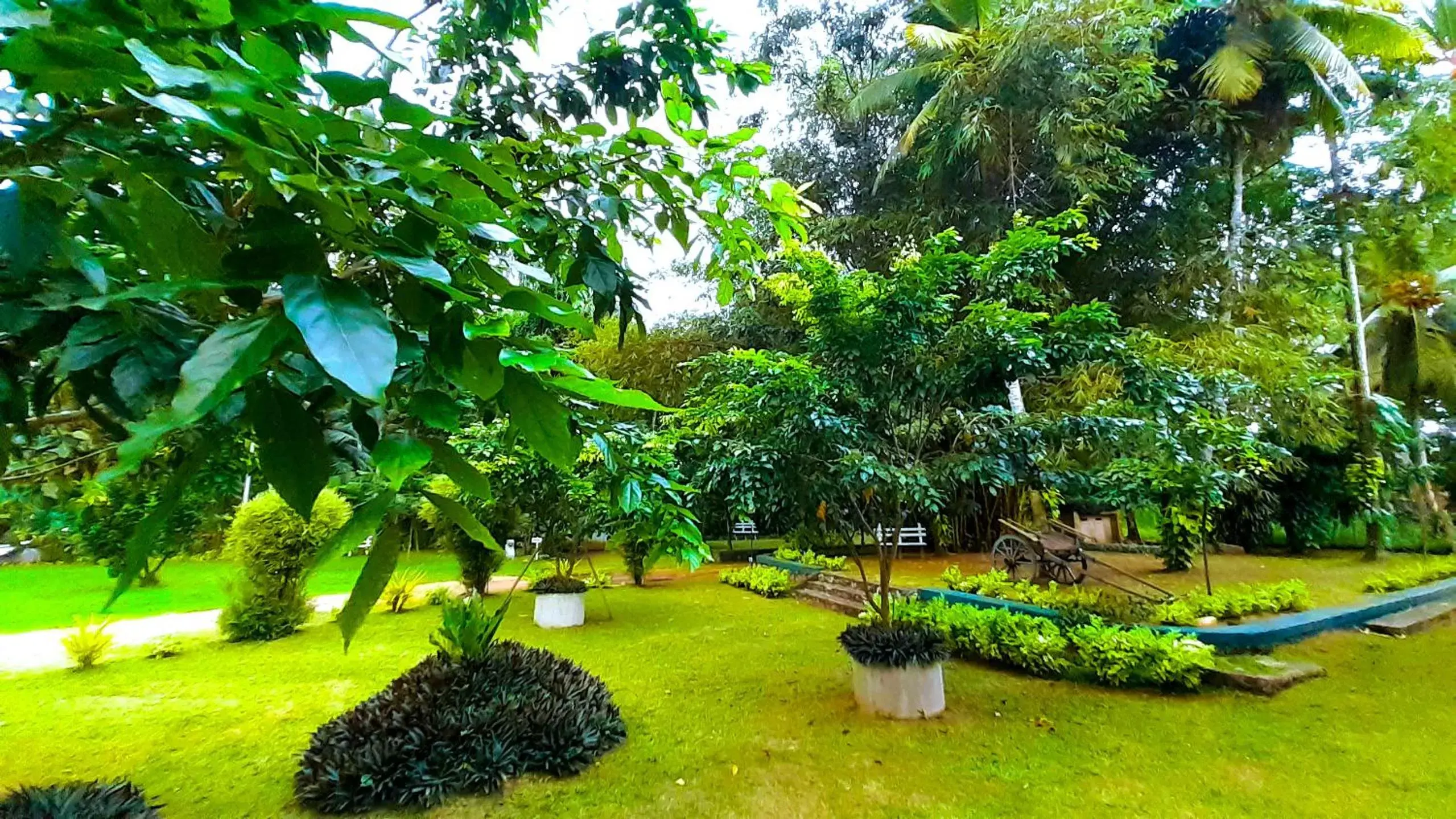 Garden in Oreeka - Katunayake Airport Transit Hotels