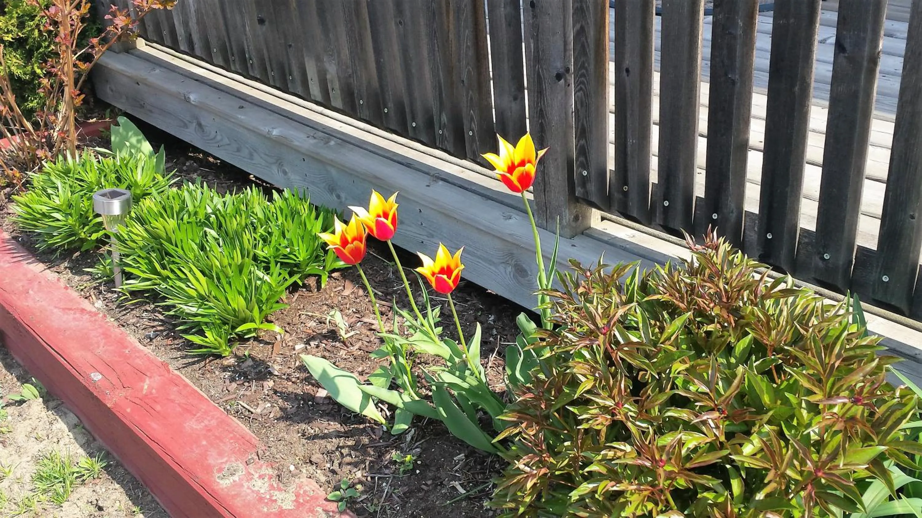 Time Travellers Motel