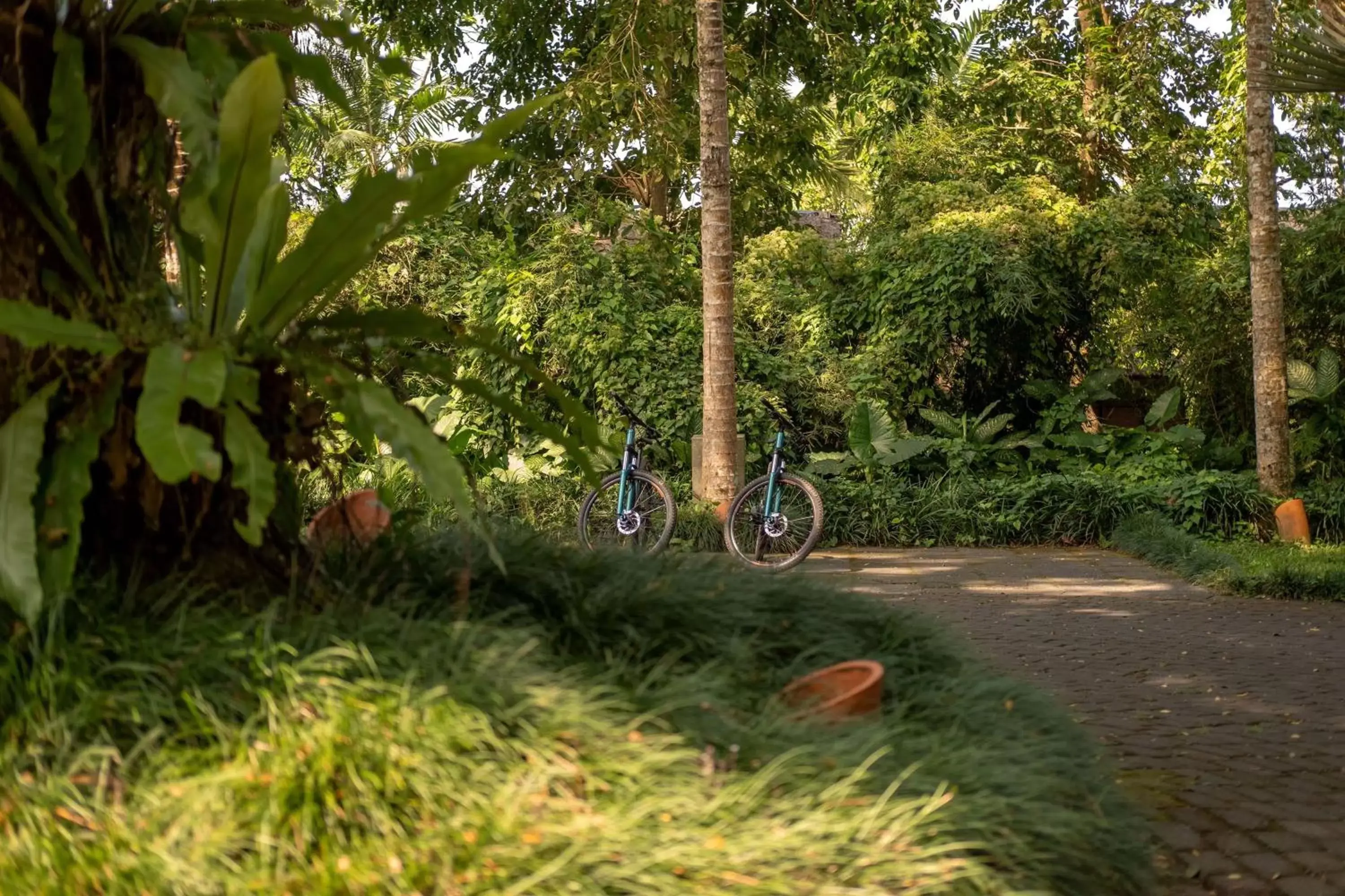 Property building, Garden in Alila Ubud