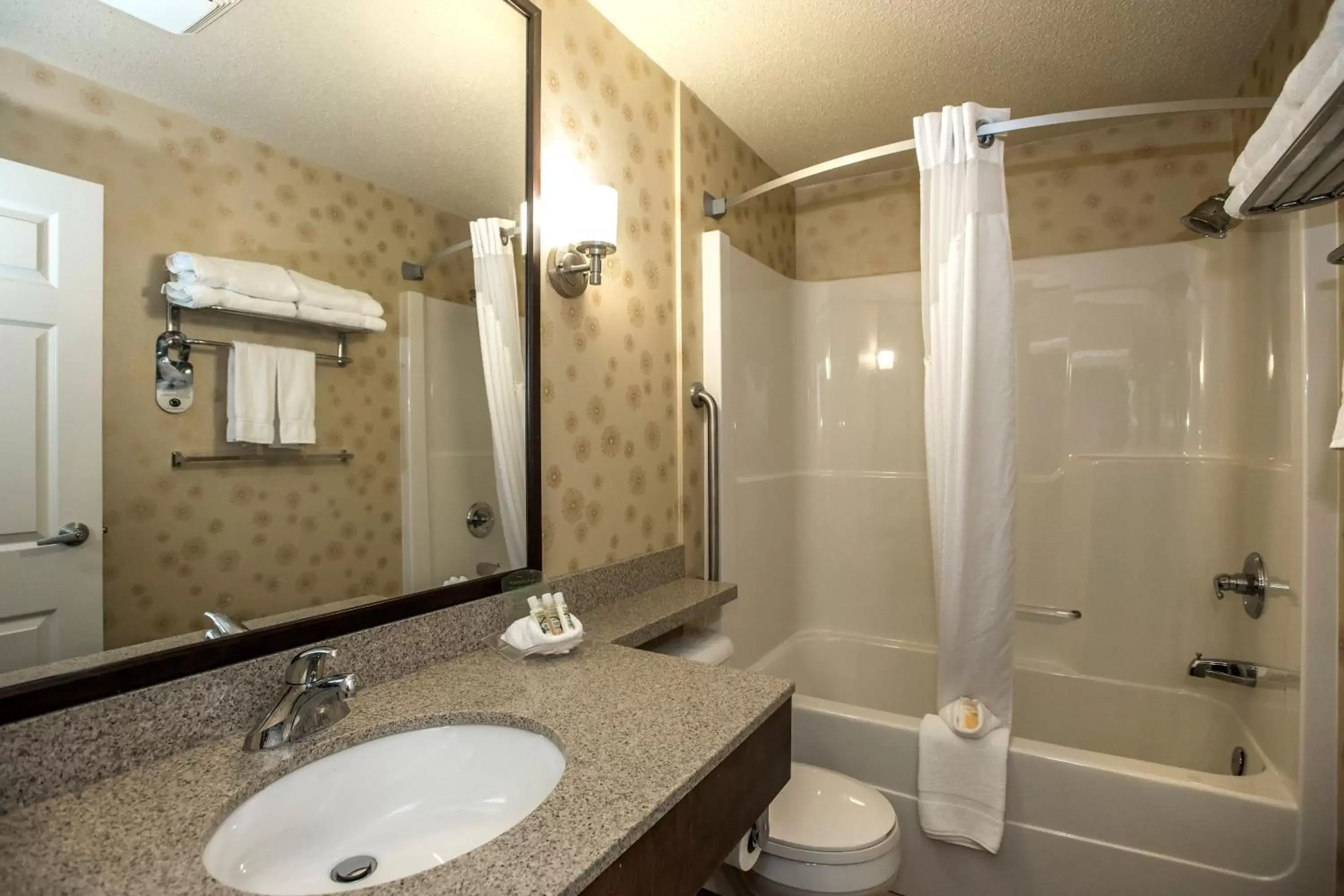 Bathroom in Holiday Inn Lethbridge, an IHG Hotel