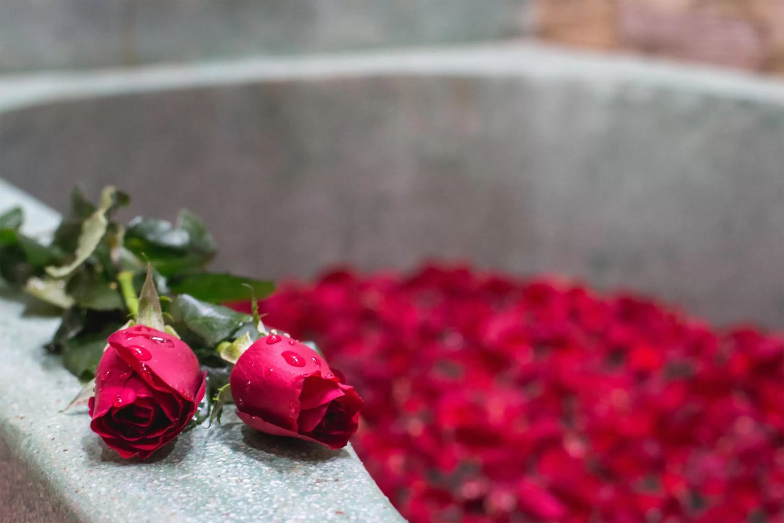 Other in De Sarann Villa