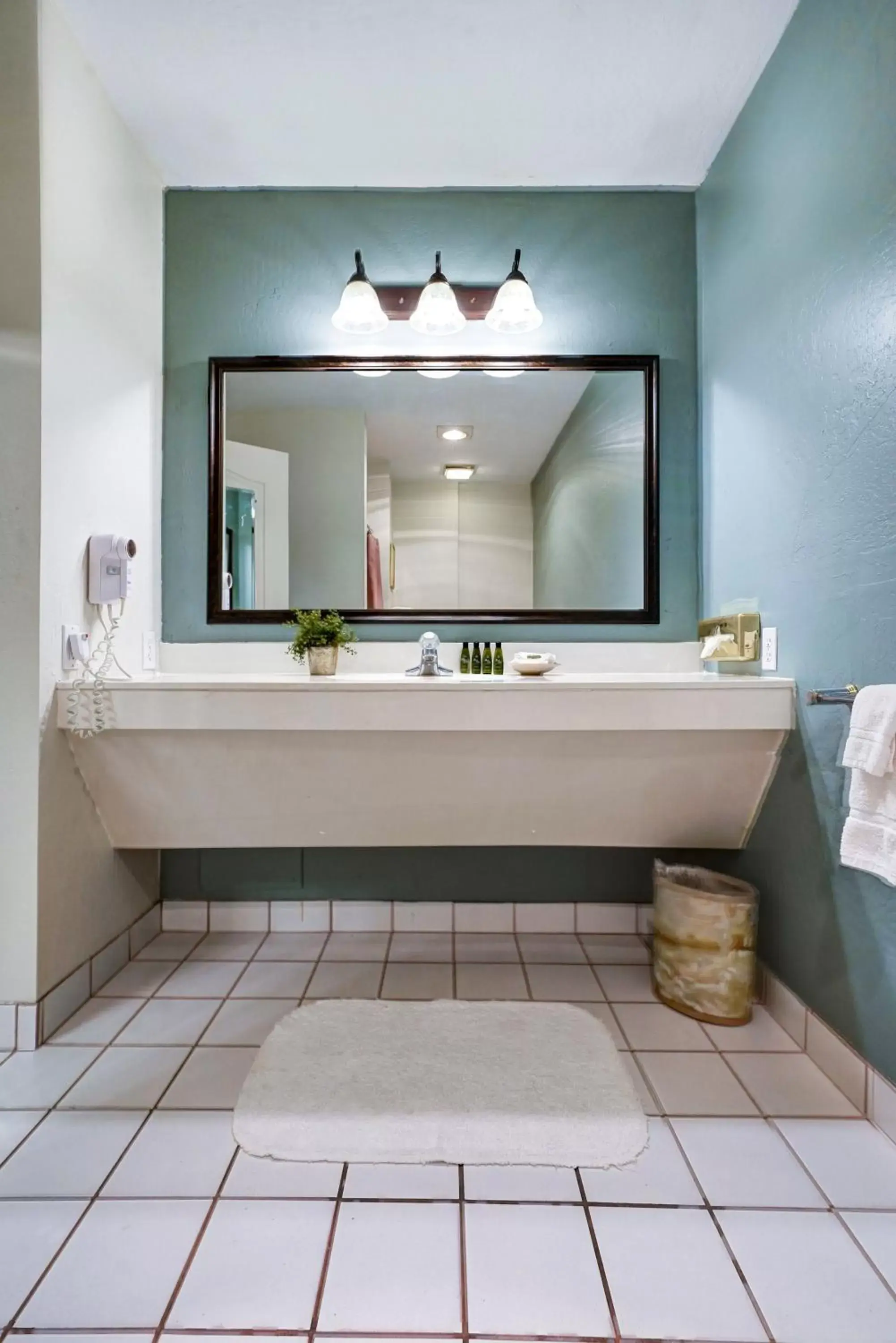 Superior King Accessible Room (No Pets Allowed) in Forest Villas Hotel Superior King Accessible Room (No Pets Allowed) in Forest Villas Hotel