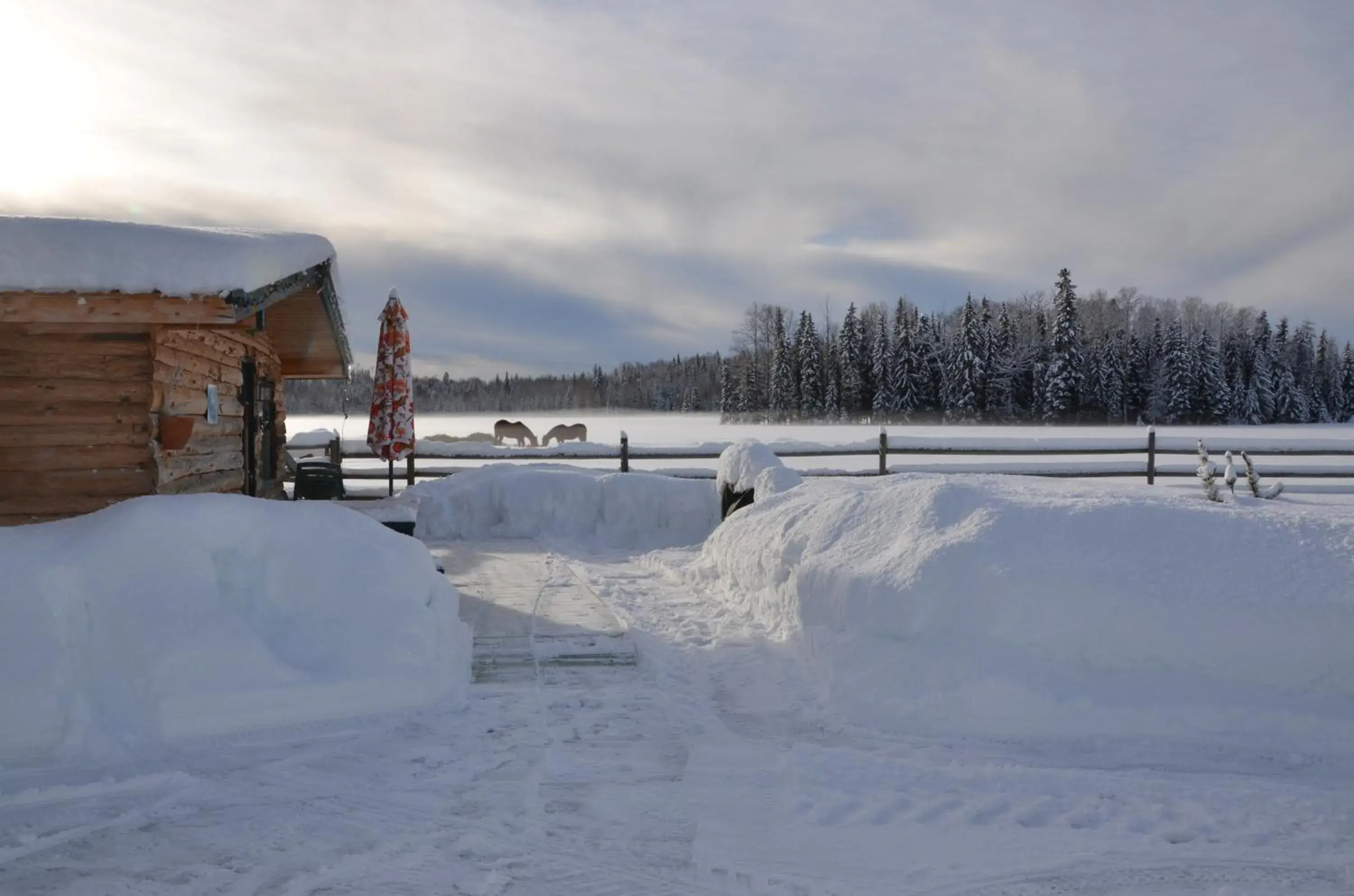 Winter in Woodhouse Cottages And Ranch