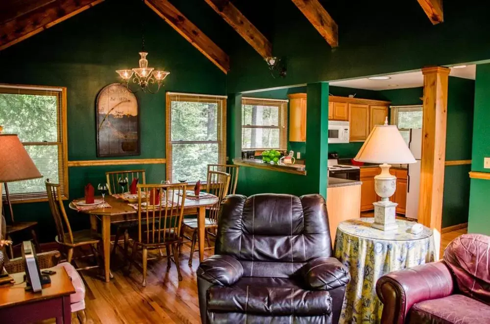 Living room in Asheville Cabins of Willow Winds