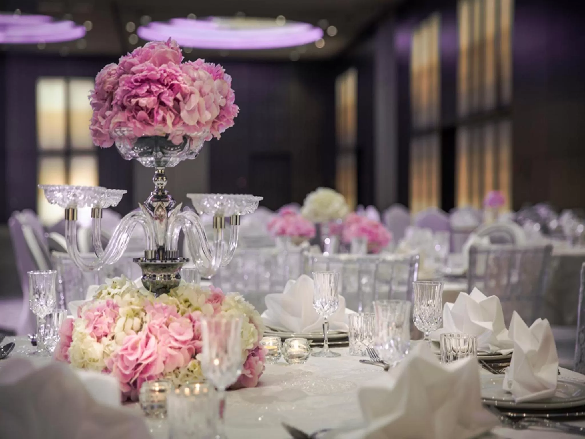 Banquet/Function facilities in The Art Hotel & Resort