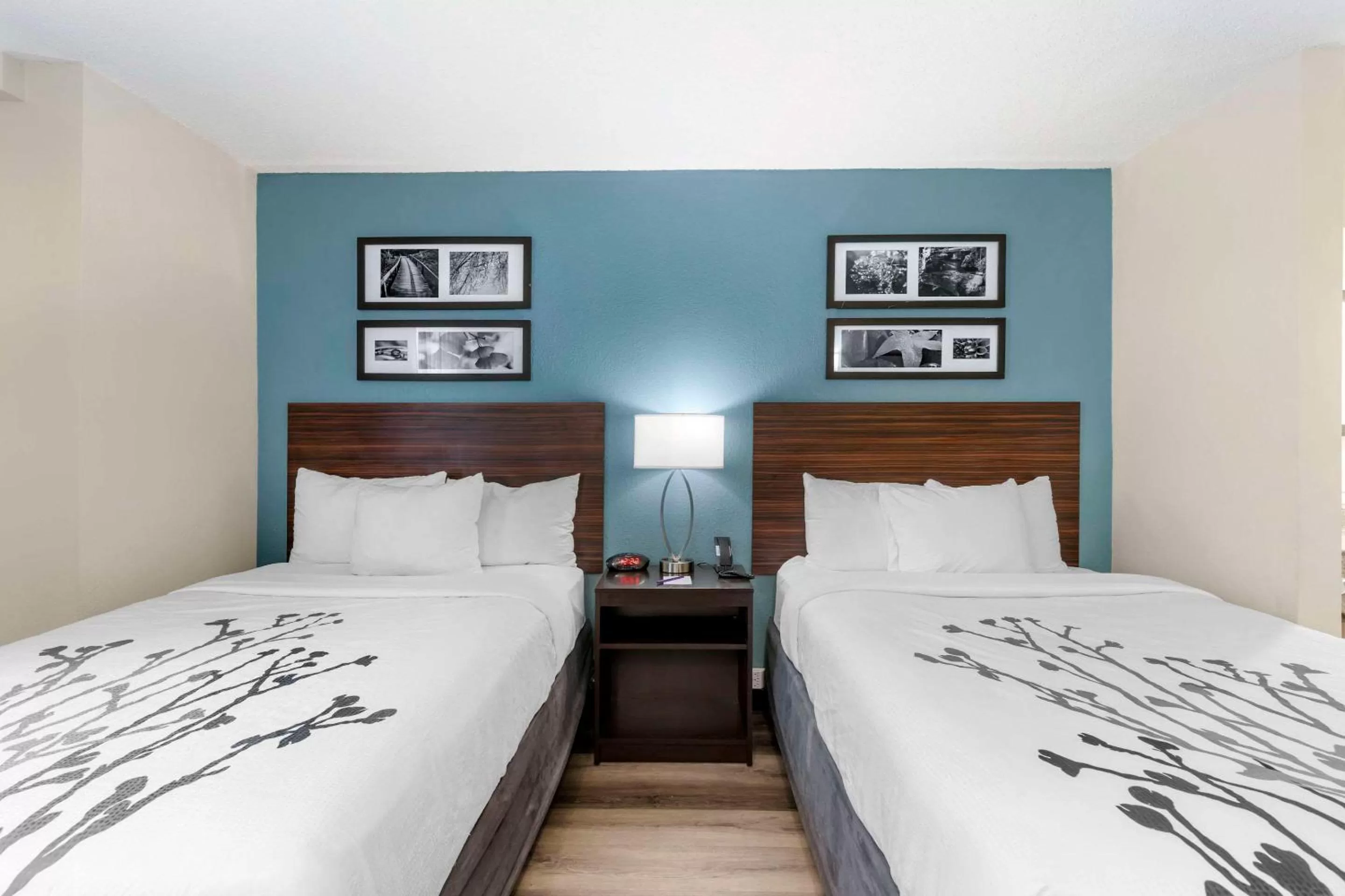 Bedroom, Bed in Sleep Inn Mt Pleasant - Charleston