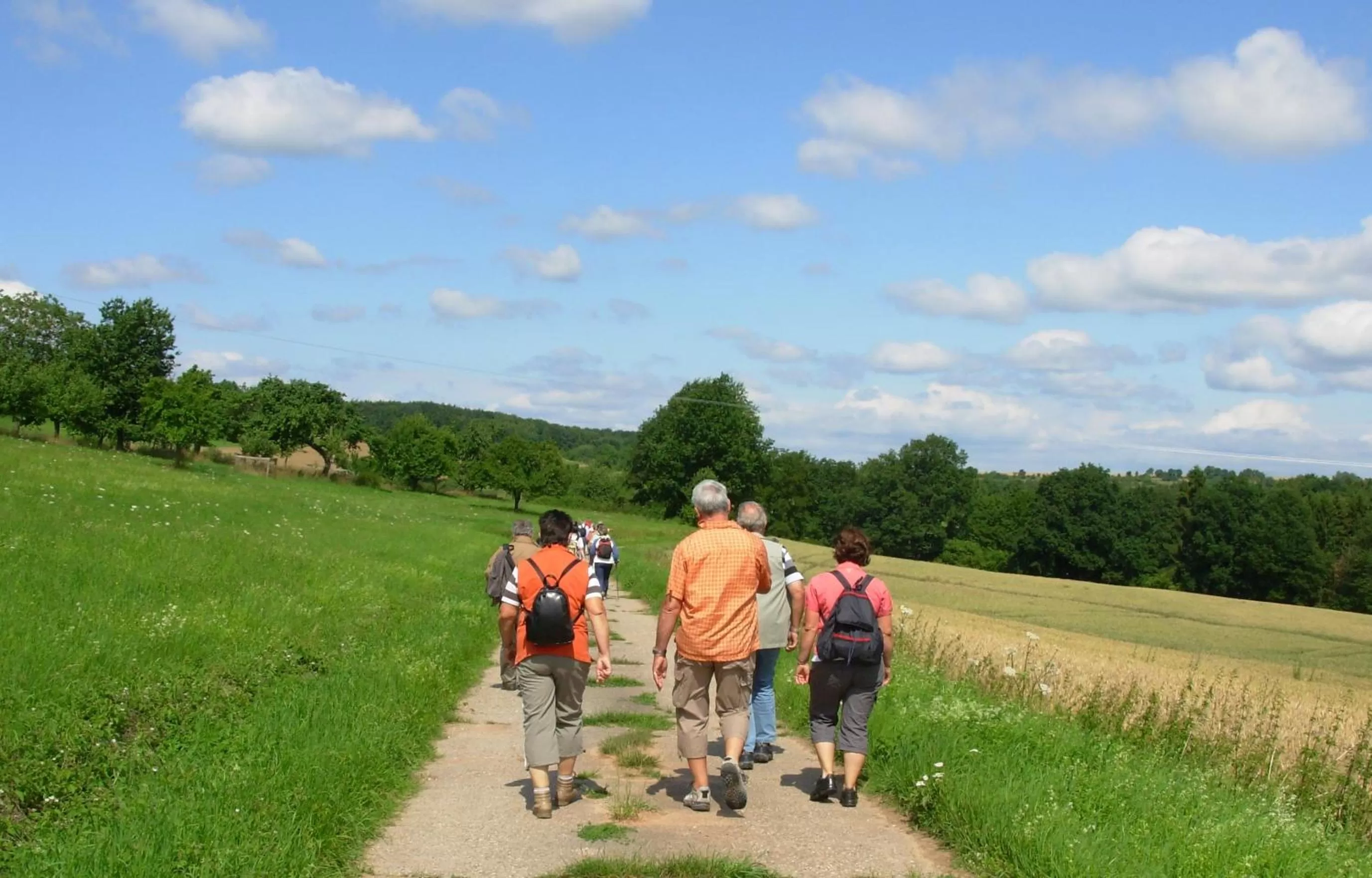Area and facilities in Hotel Bliesbrück