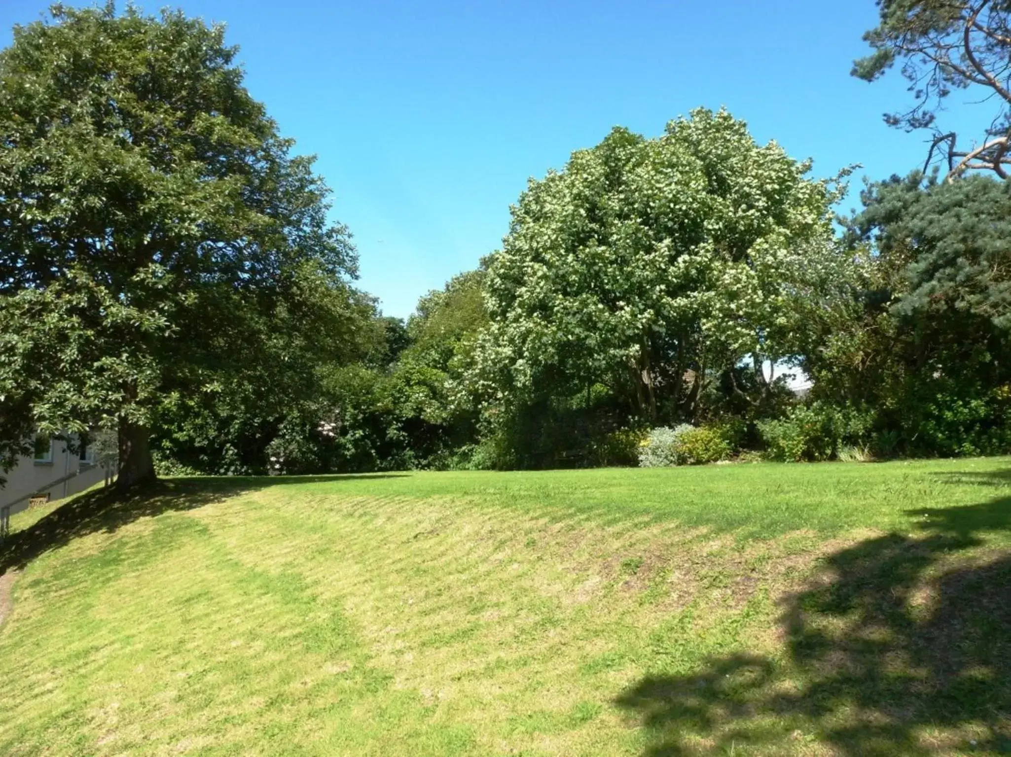 Garden in Norseman Hotel