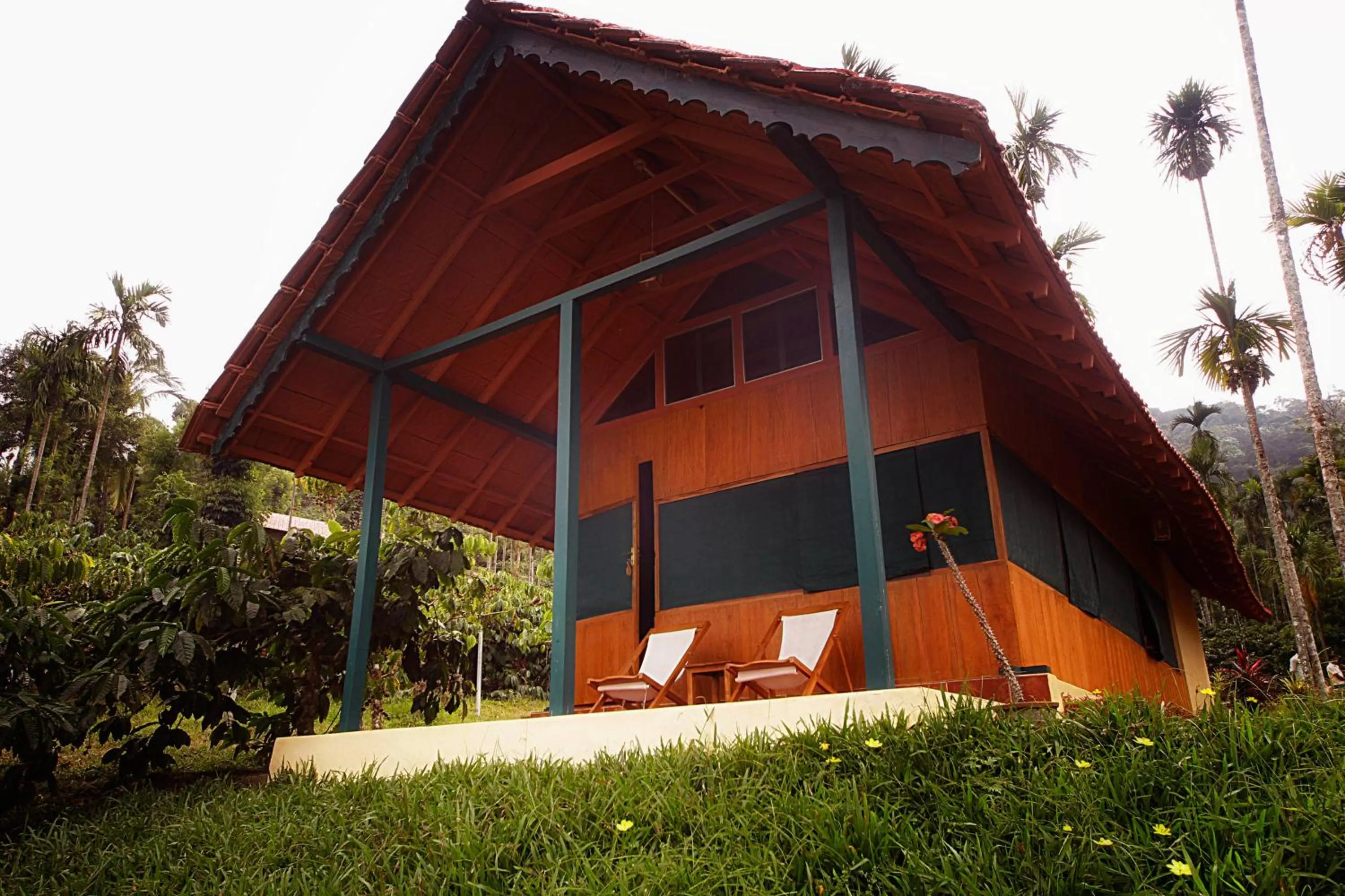 Property Building in Marmalade Springs Resort Wayanad