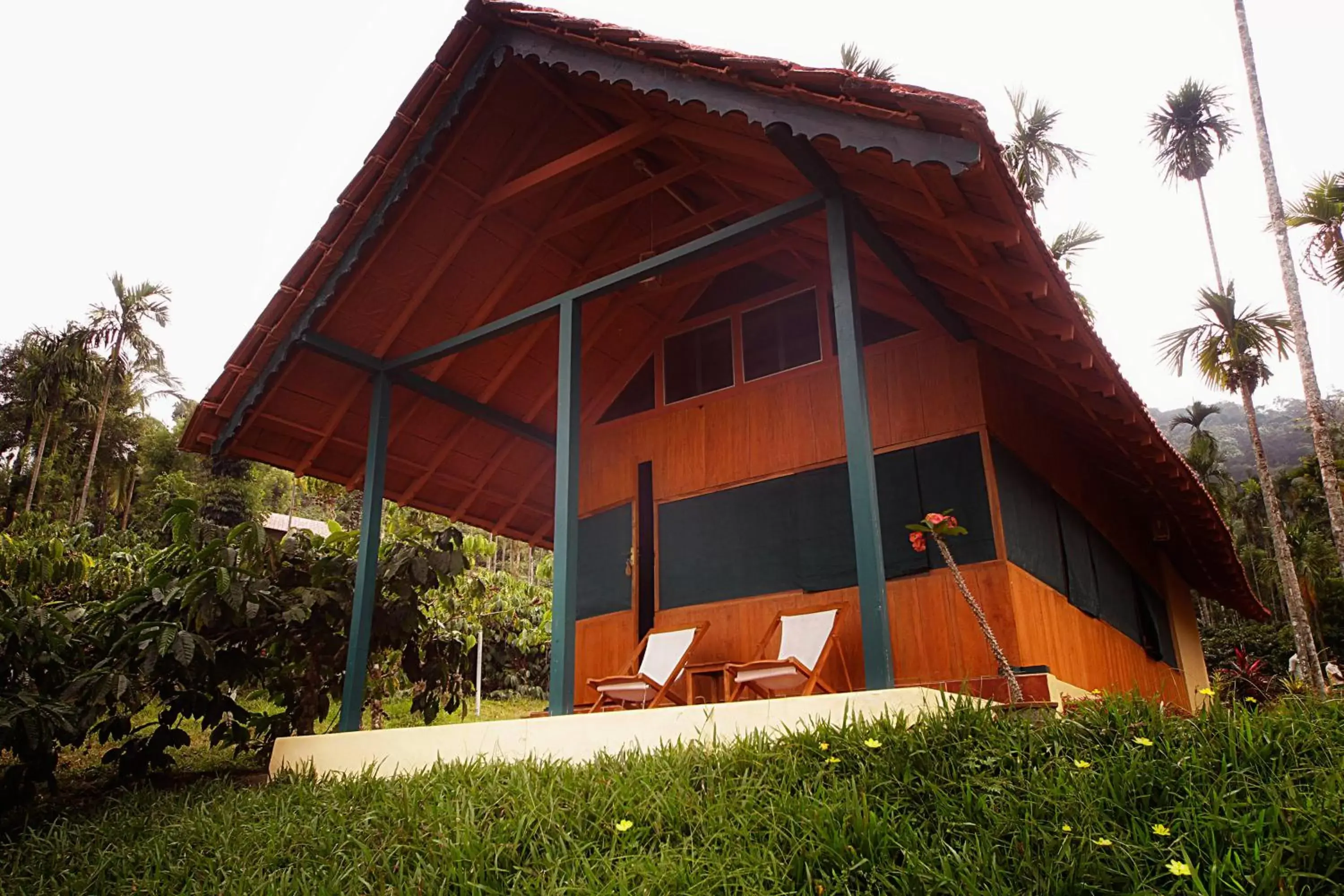 Property Building in Marmalade Springs Resort Wayanad Property Building in Marmalade Springs Resort Wayanad