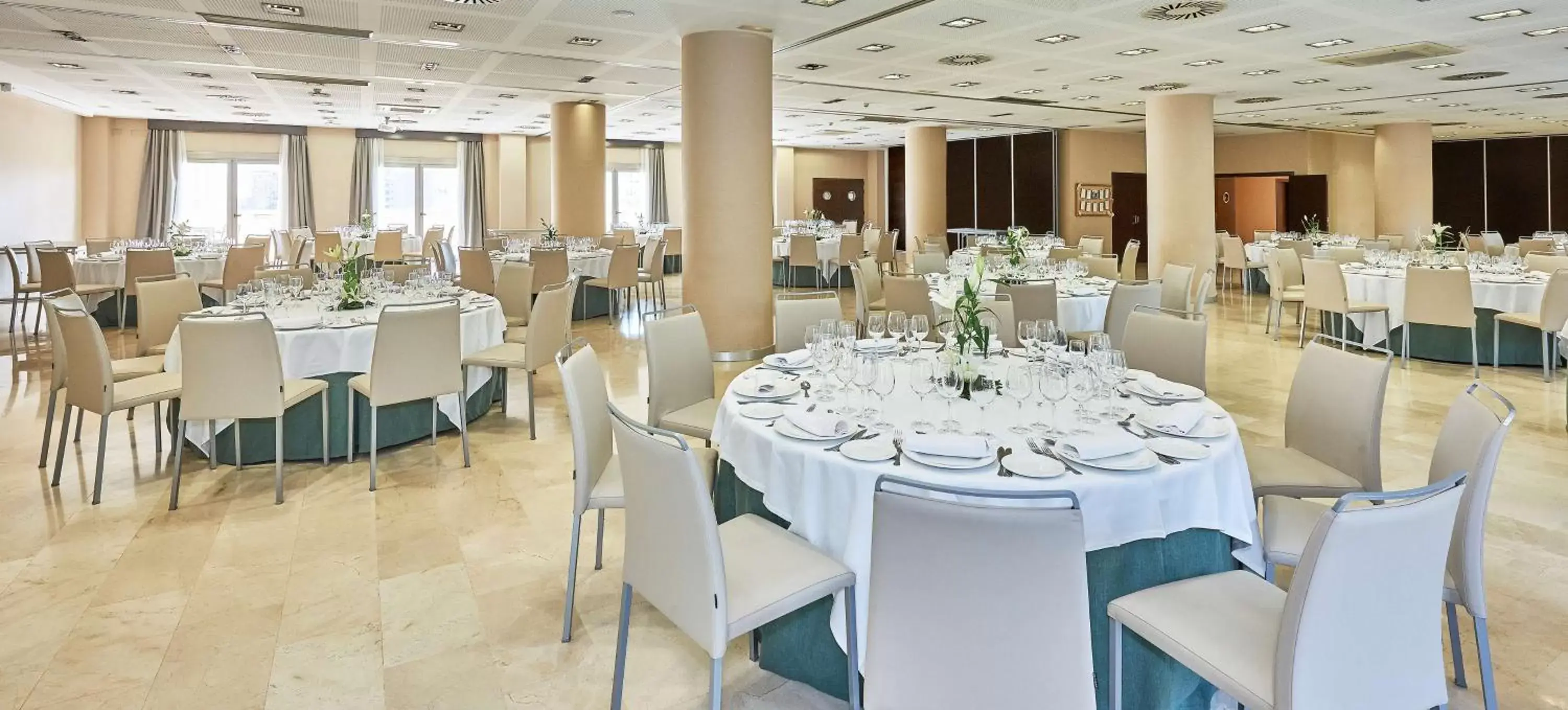 Meeting/conference room, Banquet Facilities in NH Alicante